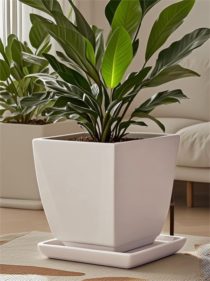 Square Plant Saucer 10 Inch 2 Pack,Plant Trays for Pots, White Ceramic Plant Saucers for Indoors Outdoors, Plant Drip Tray 4 6 8 10 12 14 Inch