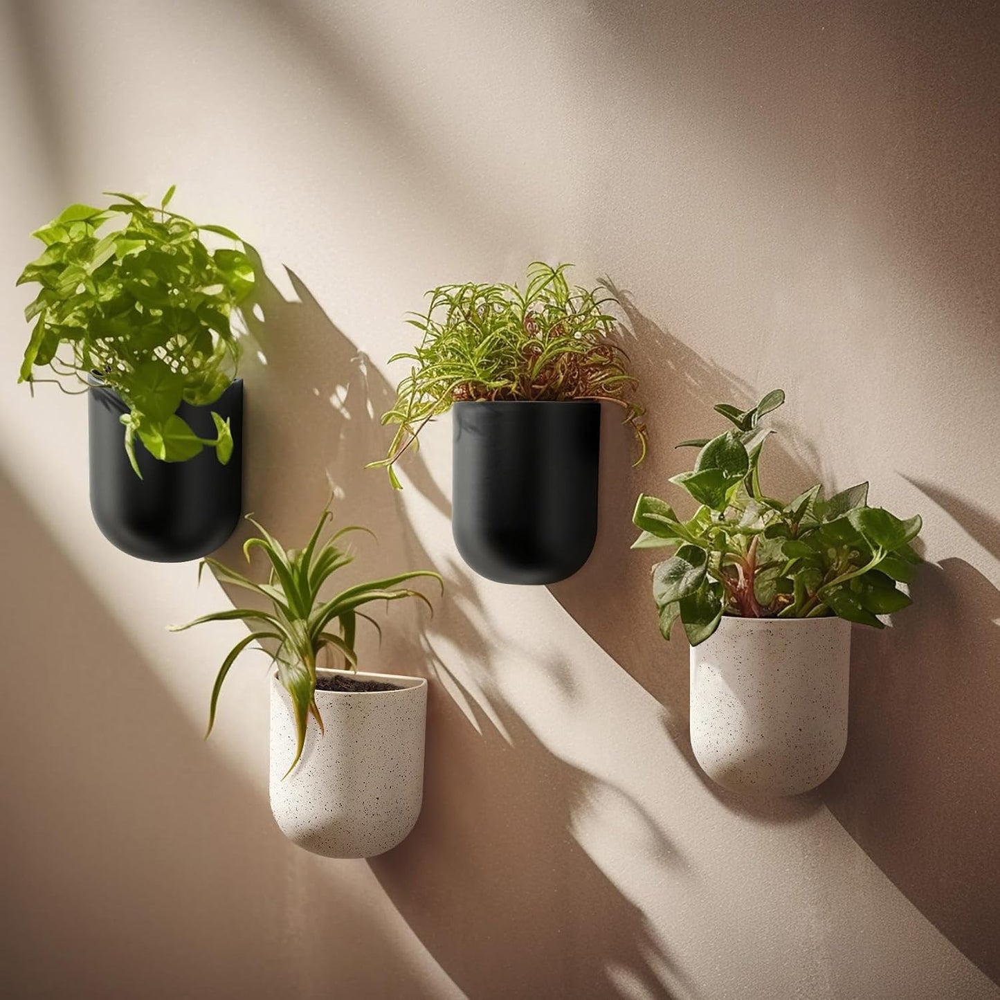 LA JOLIE MUSE Wall Hanging Planters for Indoor Plants,Hanging Flower Pots for Air Plants Succulent, Set of 2, 5.7L*4.1W*7H, Black