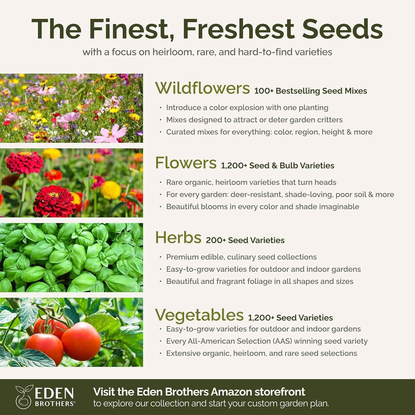 Eden Brothers Royal Meadow Flower Mixed Seeds for Planting, 1/4 lb, 120,000+ Seeds with Morning Glory, African Daisy | Attracts Pollinators, Plant in Spring or Fall, Zones 3, 4, 5, 6, 7, 8, 9, 10