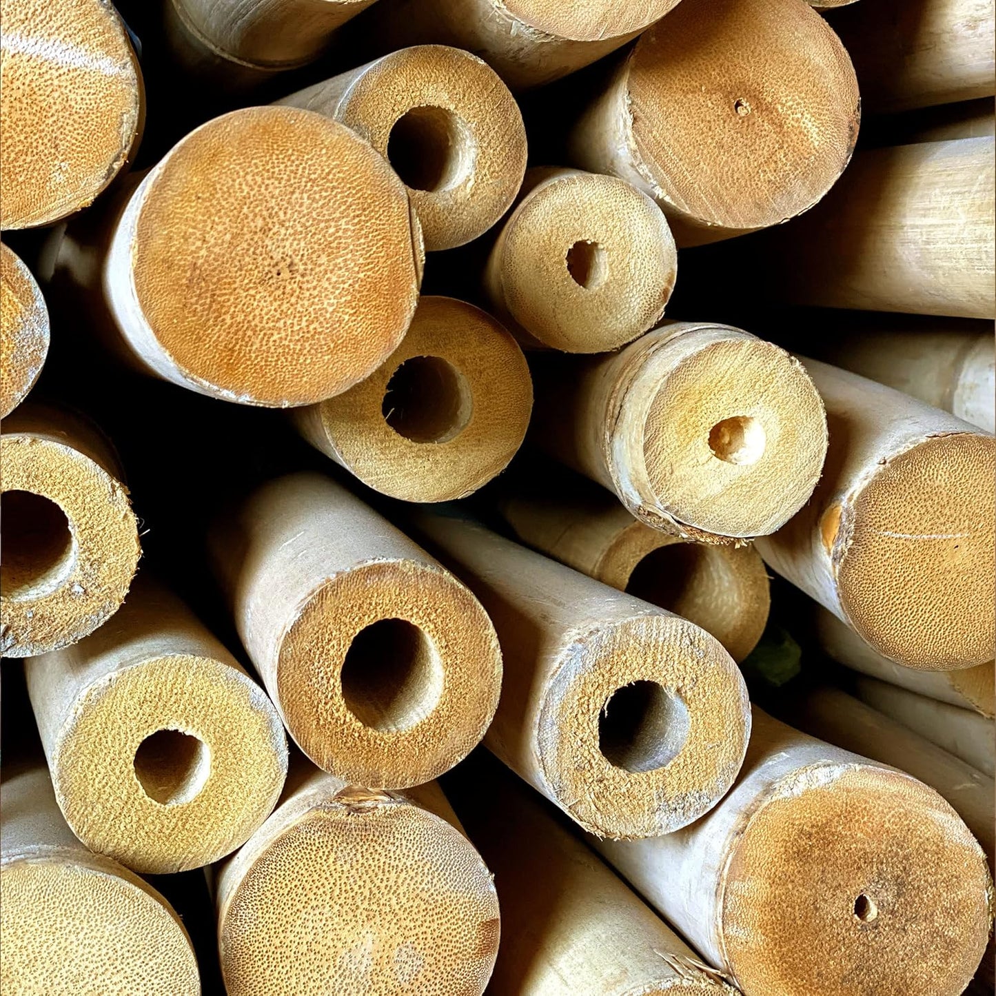 FOREVER BAMBOO 72" L Solid Bamboo Poles for Structural Design and Weight-Bearing Support (6-Pack)
