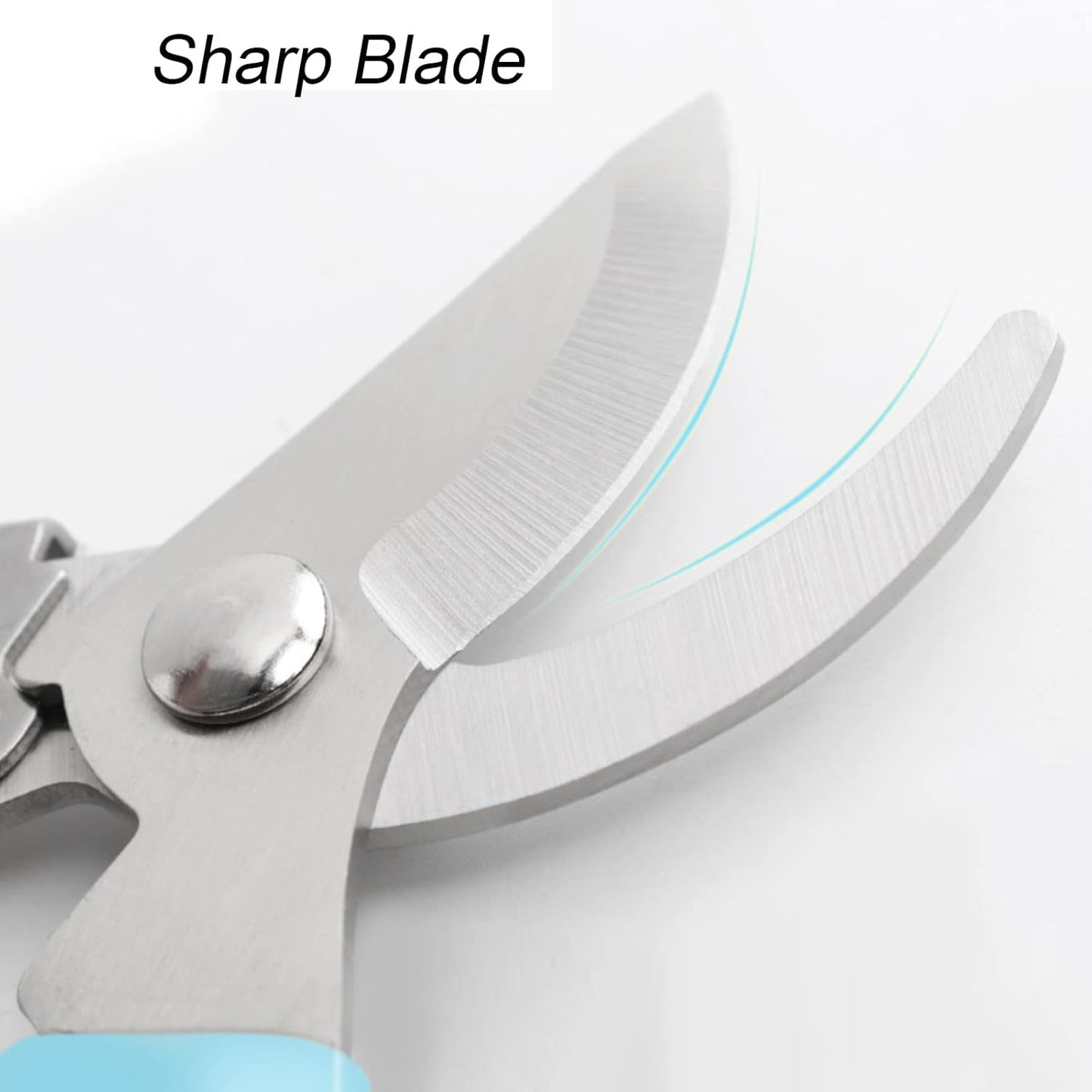 Curve Gardening Scissor with Sharp Stainless Steel Blade Garden Shears for Cutting Flowers Trimming Plants of Yard Florist Flower Rose Herb Hedge Bonsai and Fruits Picking (Black Handle)