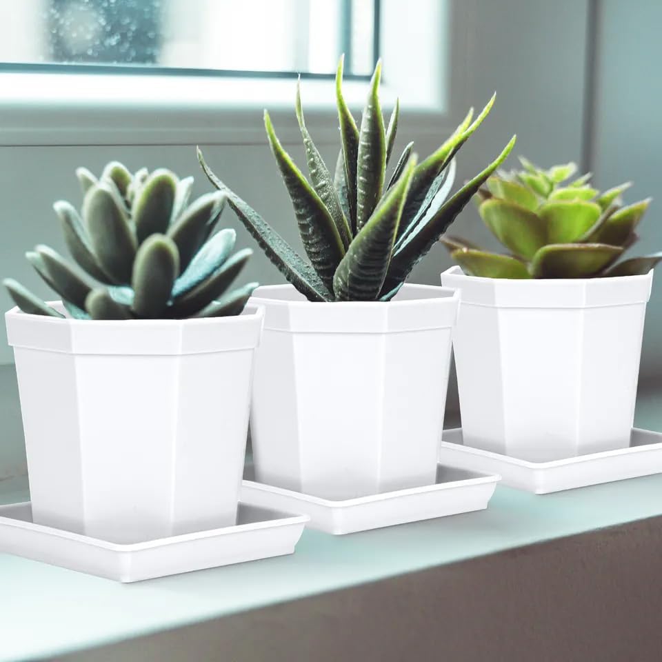 2 Pack Square Plant Saucer 16 Inch, Duty Plastic Plant Saucer, Heavy Duty Plant Pot Saucers, Planters for Indoors and Outdoors Plants，Large Deep Plant Trays for Pots.