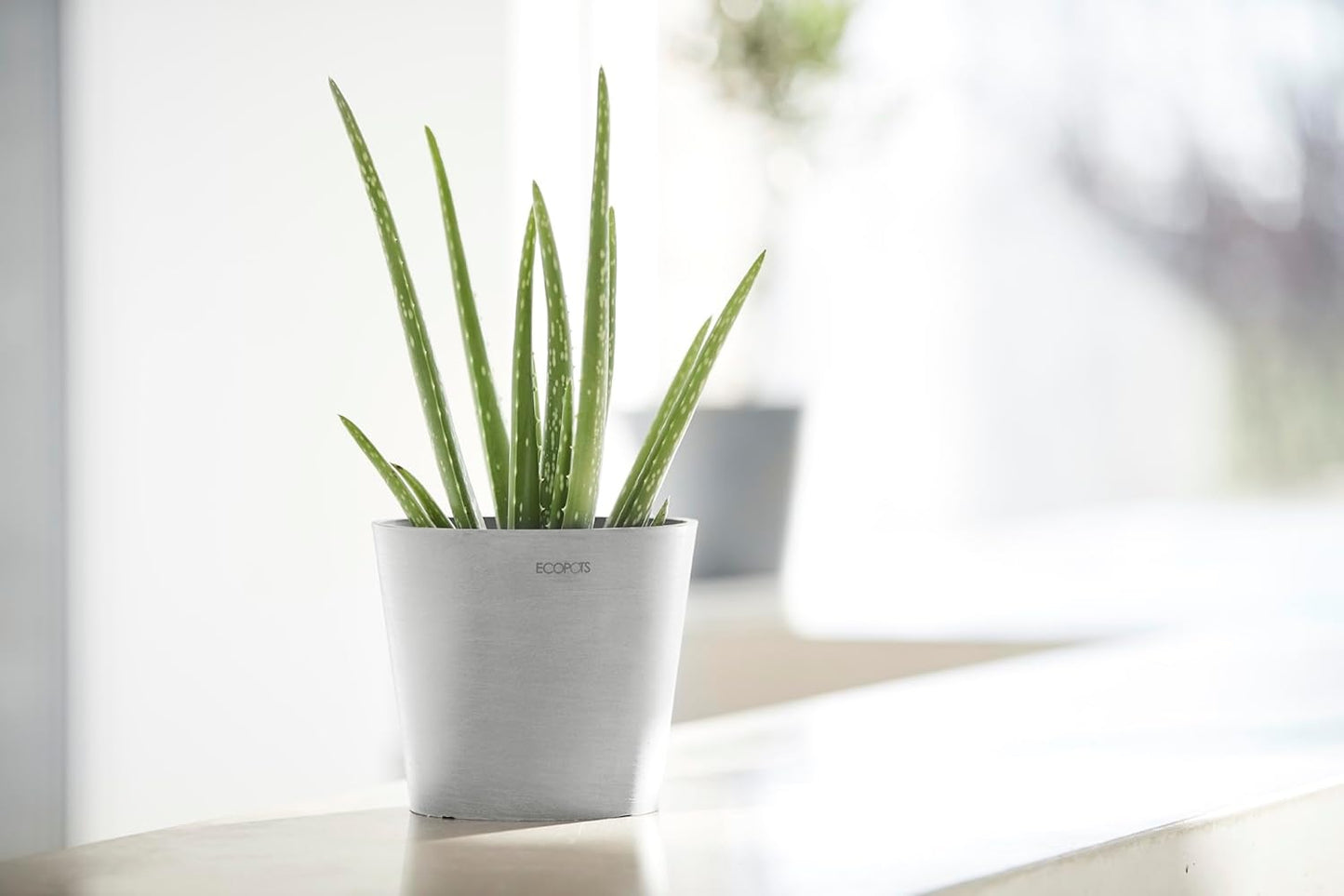 Ecopots Amsterdam Mini Durable Modern Round Recycled-Based Composite Flower Pot Planter, White Grey, 7"