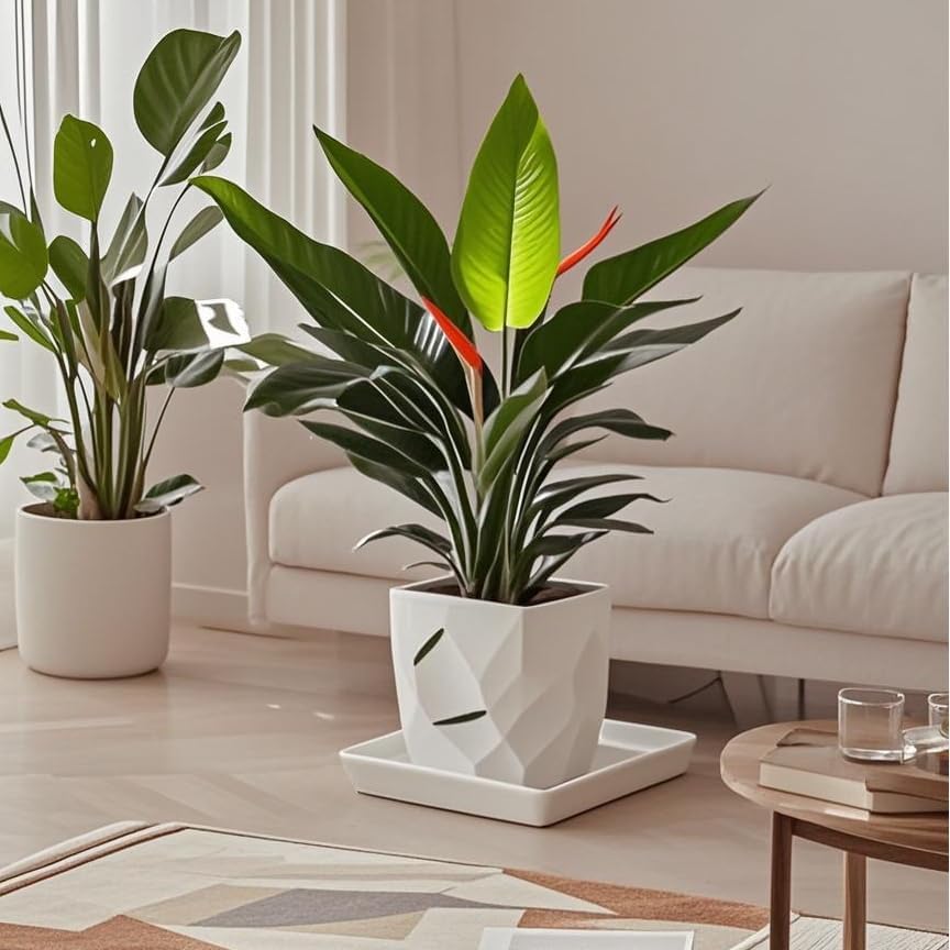 Square Plant Saucer 10 Inch 2 Pack，Plant Trays for Pots, White Ceramic Plant Saucers for Indoors Outdoors, Plant Drip Tray 4 6 8 10 12 14 Inch