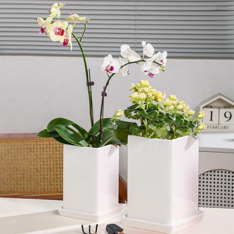 Square Plant Saucer 10 Inch 2 Pack，Plant Trays for Pots, White Ceramic Plant Saucers for Indoors Outdoors, Plant Drip Tray 4 6 8 10 12 14 Inch