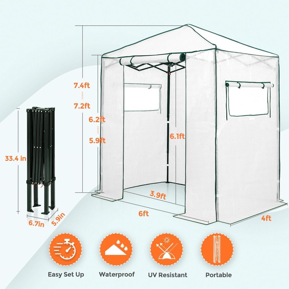 EAGLE PEAK Instant Pop-up Greenhouse, Indoor Outdoor Plant Gardening Green House, Roll-Up Zipper Doors and Side Windows, Walk in 6x4 ft, PE Cover, White/Clear