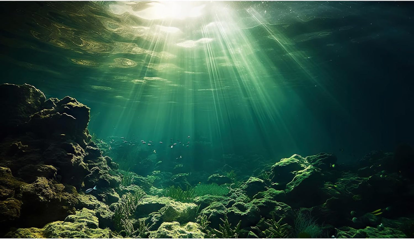 Under The Sea Aquarium Background Underwater Fish Tank Background Ocean Floor Rock Cave Sunray Terrarium Backgrounds Tropical Fish Ocean World Aquarium Reptile Tank Backgrounds 36x20in