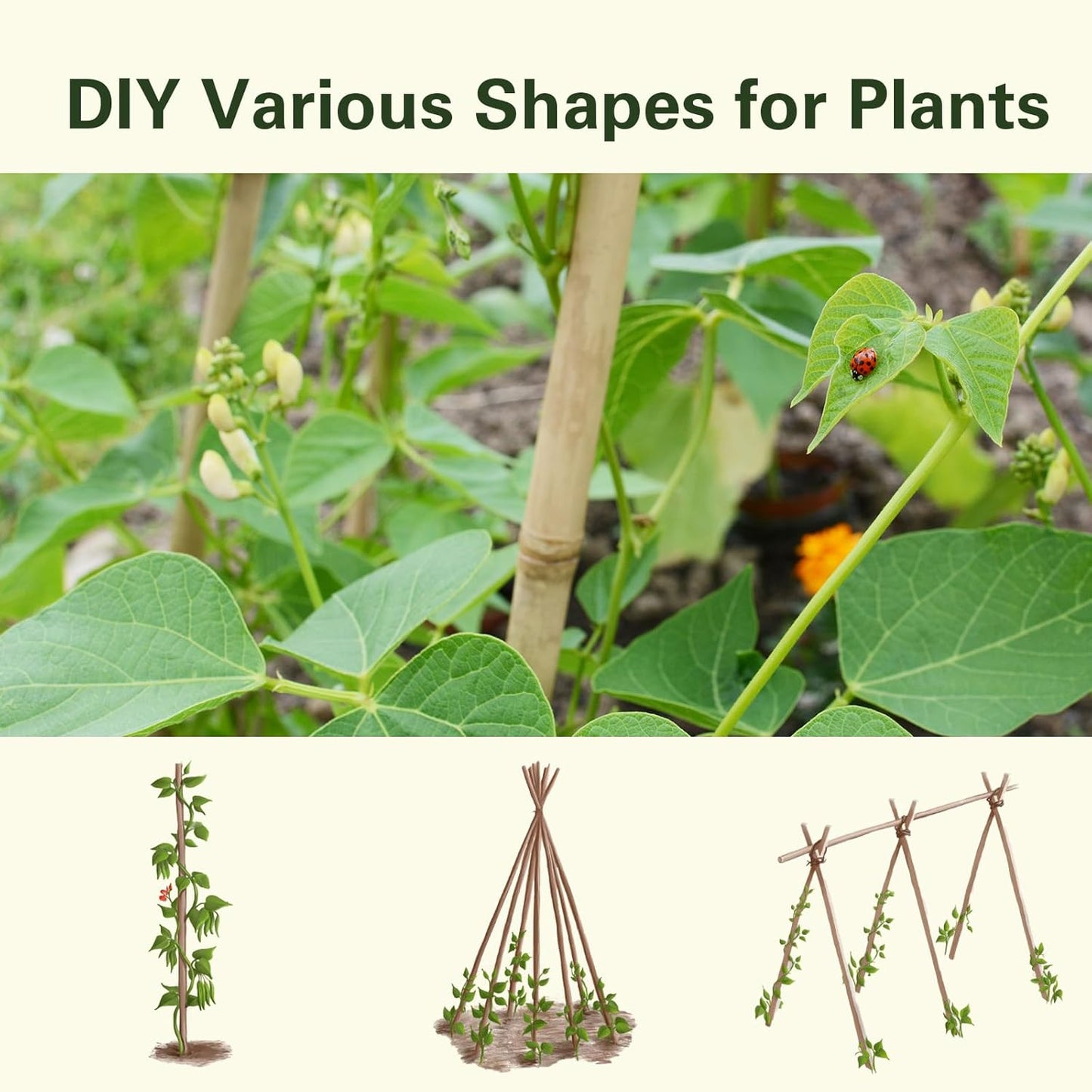 Bamboo Stakes 7 Feet, 84 inch Garden Stakes Multi-Purpose, Bamboo Plant Support Stakes for Tomatos, Beans, Cucumbers, Peppers, Potted Trees, Maintain The Plant Posture, Strengthen and Stem
