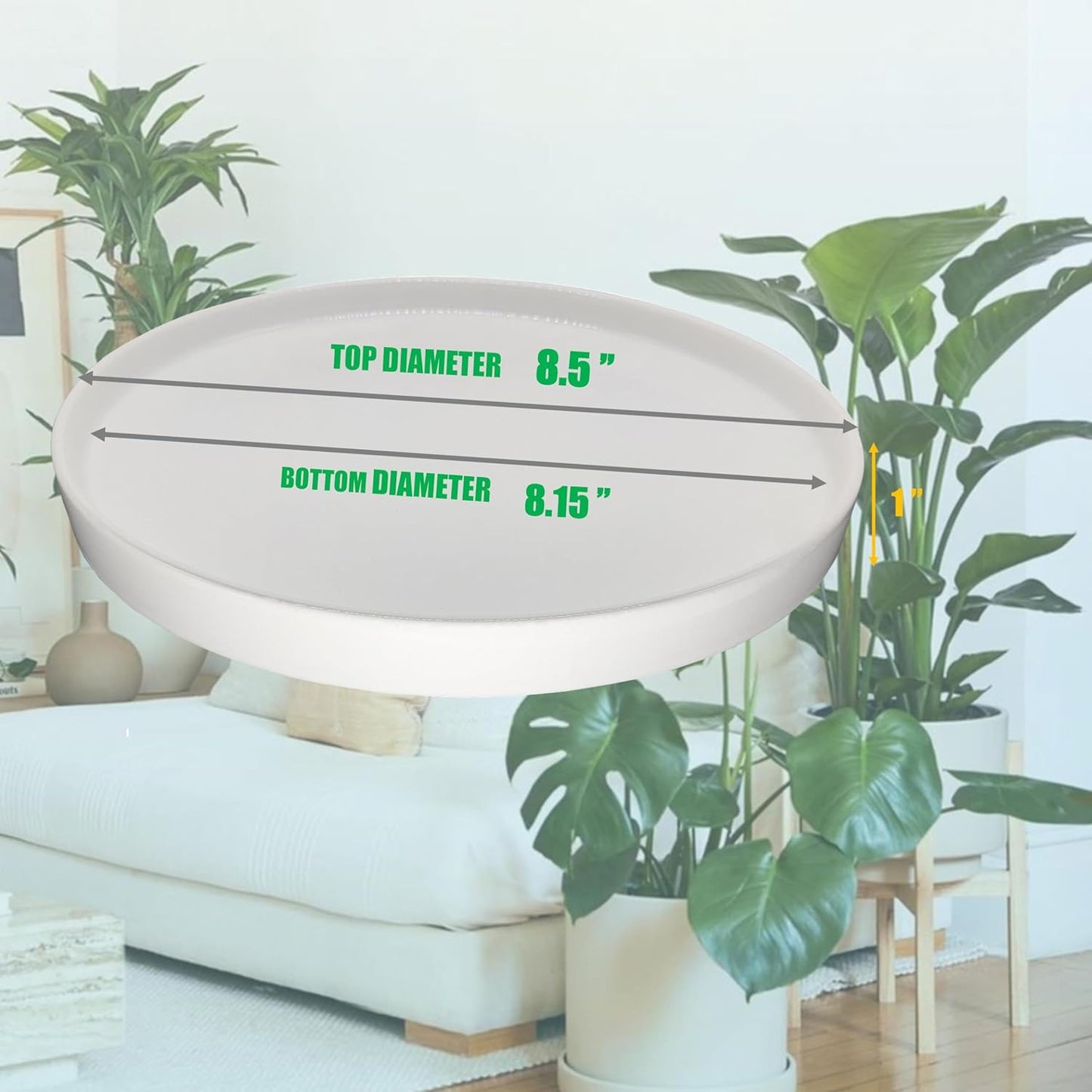 Ceramic Plant Saucer 8 inch White, Planter Water Drip Trays for Indoor Plants, Thick Durable Sturdy Flower Pot Saucers for Glazing Pots Base, Sizes 4-12 inch