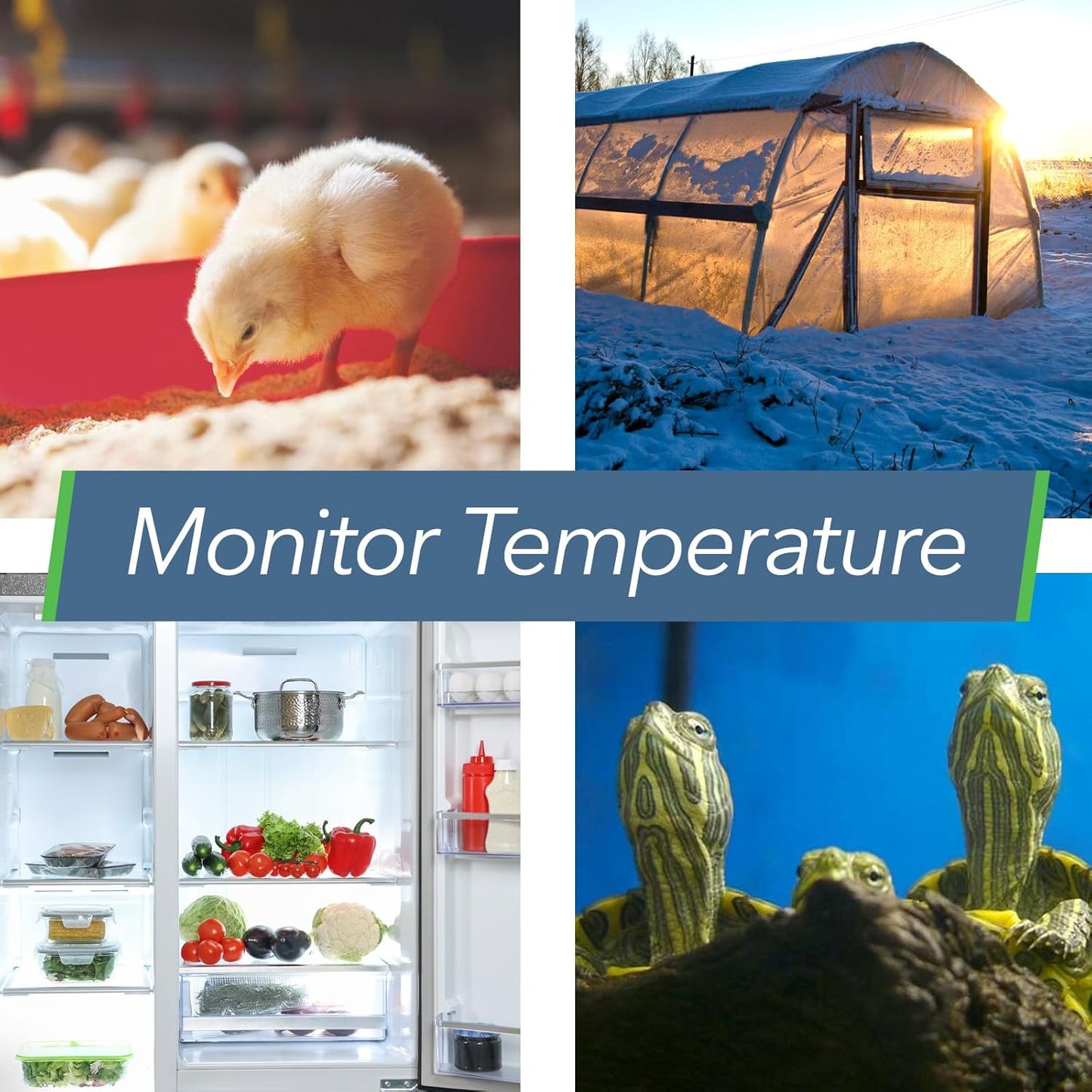 HT.w Smart Temperature Sensor & Humidity Sensor - Bluetooth Thermometer & Hygrometer with App Monitoring - Water Resistant Temperature & Humidity Monitor for RV, Basement, Fridge (4 Pack)