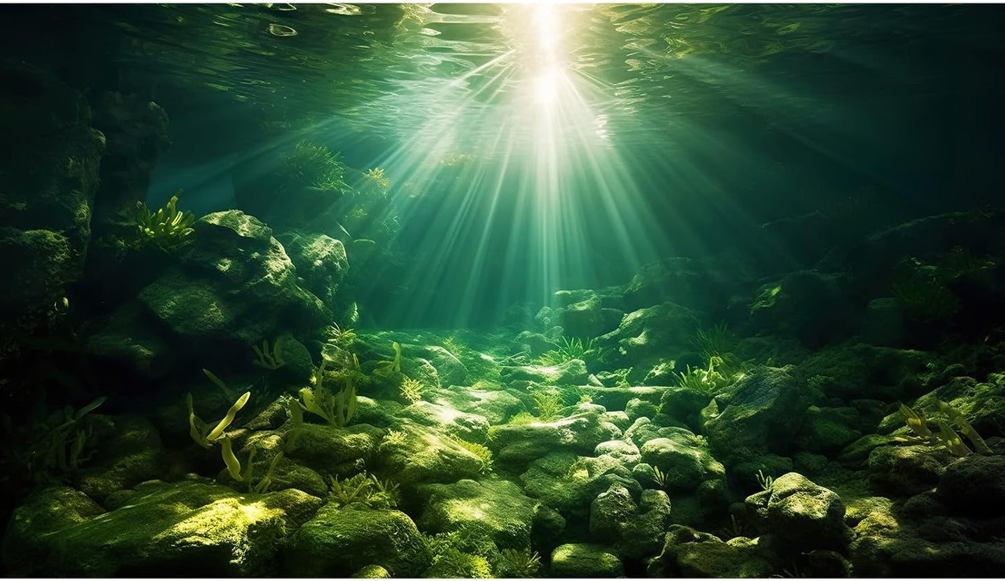 Underwater Sunray Aquarium Background Deep Ocean Rock Cave Fish Tank Background Under The Sea Coral Reef Aquarium Backgrounds Ocean Floor Tropical Fish Terrarium Backgrounds 60x24in