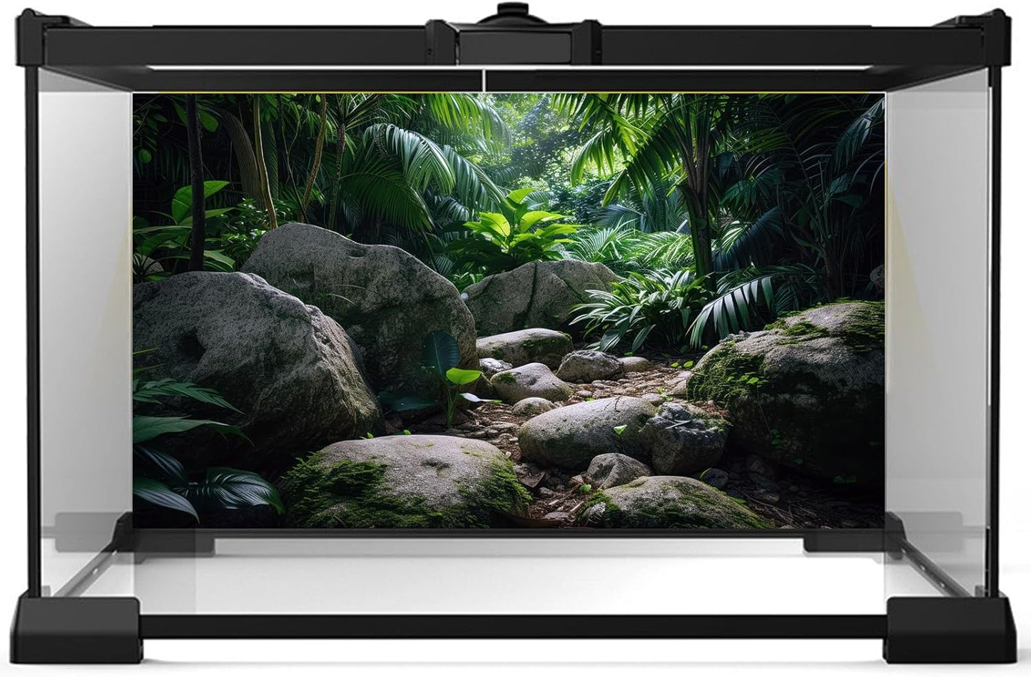 Reptile Habitat Backdrop Lush Tropical Plants and Rocks Terrarium Backdrop Dense Vegetation with Large Broad Leaves and Ferns Fish Tank Background Aquarium Wallpaper Poster Decor Vinyl 36x18in