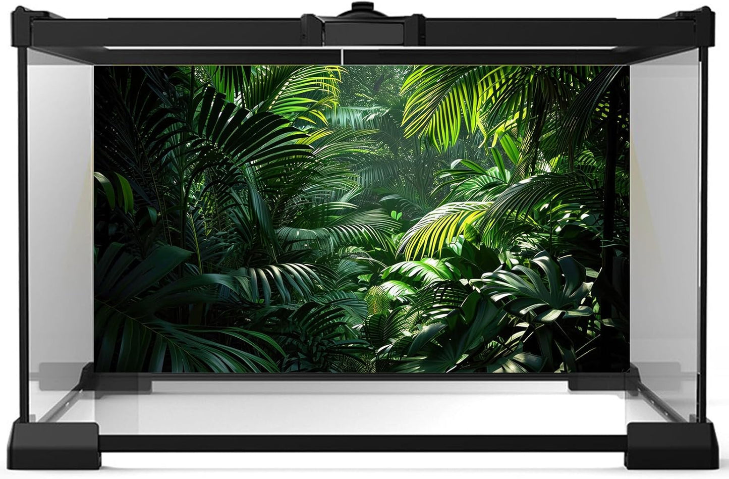 Aquarium Background Enchanting Beauty of Jungle Terrarium Backdrop Nature Jungle Green Leaf Palms Fish Tank Background Reptile Habitat Backdrop Wallpaper Poster Decor Vinyl 36x18in