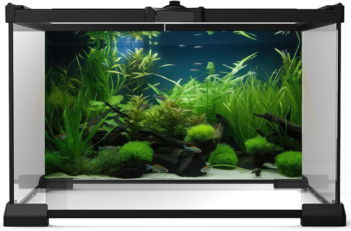 Aquarium Background Diverse Collection of Aquatic Plants Seagrasses Terrarium Background Redwood Root Moss Tropical Style Underwater Plants Fish Tank Background Under The Sea Aquarium Backdrop 60x24in