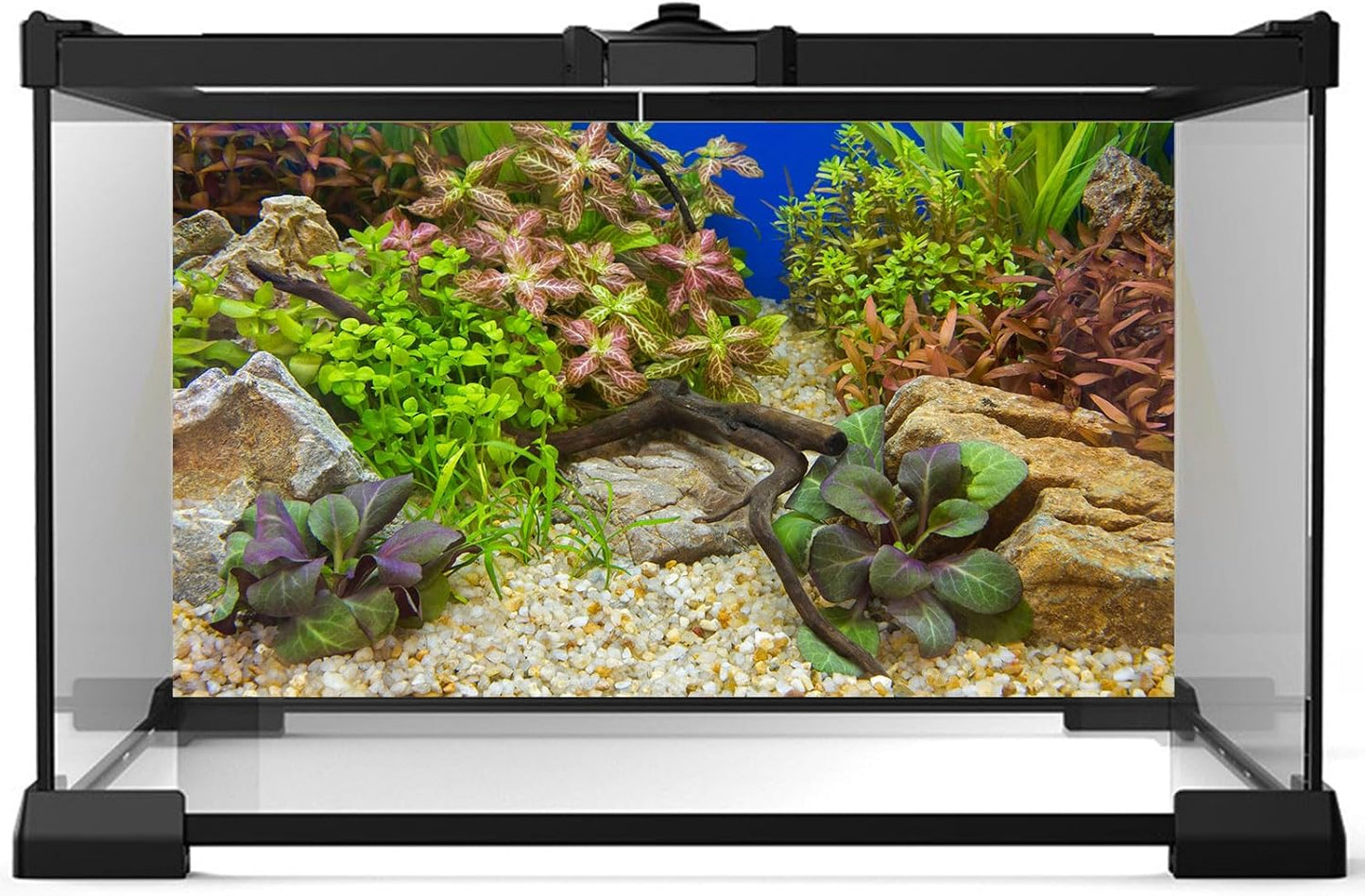 Aquarium Background Various Underwater Grass Plants Pebble Aquarium Backdrop Vivid and Fresh Green Aquatic Plants Stone River Bed and Dead Wood Purple Leaves Tank Background Vinyl 72x16in