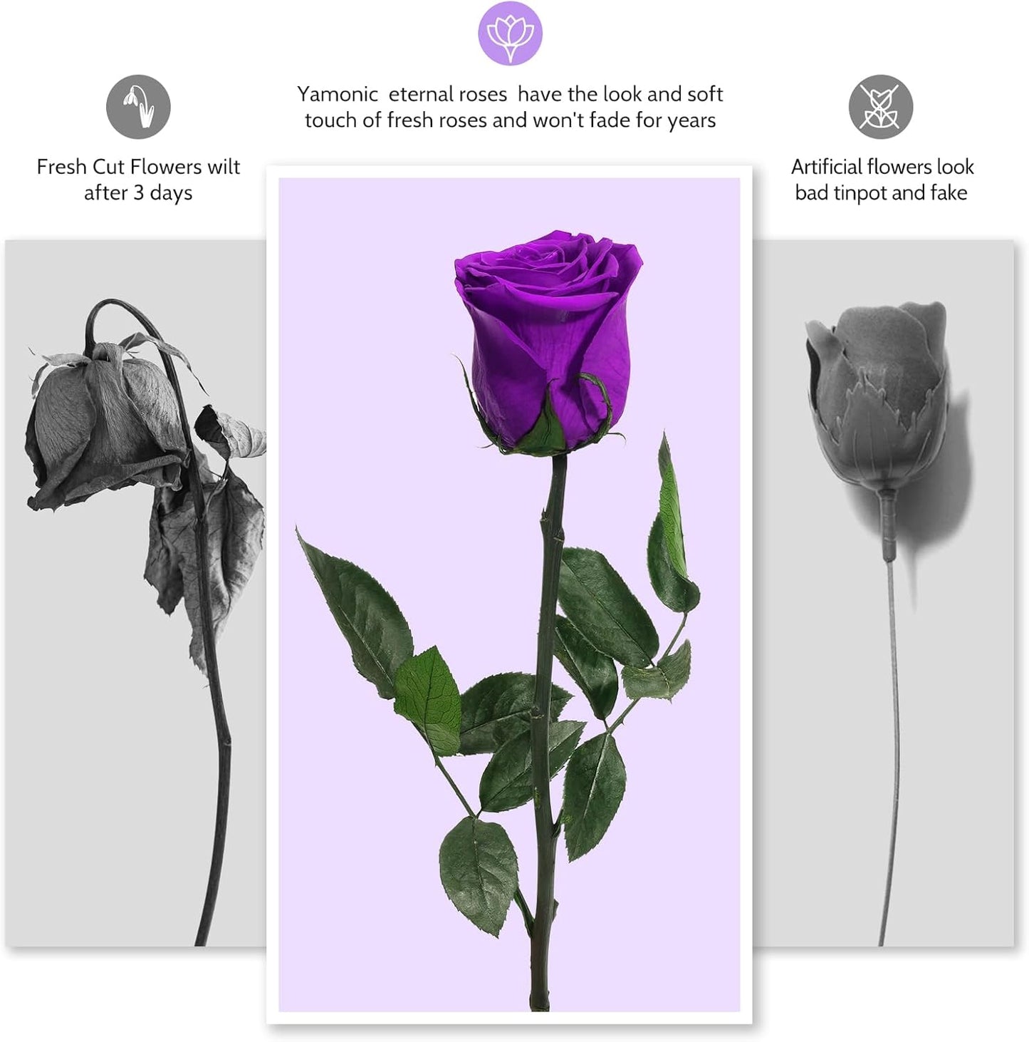 Yamonic Preserved Flowers Rose Gifts for Women Mom, Mothers Day Flowers Gifts for Mom, Real Flower Rose Birthday Gifts for Her, Grandma, Wife,Girlfriend Gifts on Christmas,Valentine's Day,Anniversary