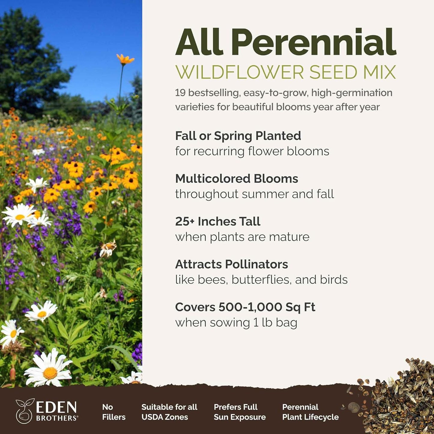 Eden Brothers All Perennial Wildflower Mixed Seeds for Planting, 1 lb, 480,000+ Seeds with Lupine, Shasta Daisy | Attracts Pollinators, Plant in Spring or Fall, Zones 3, 4, 5, 6, 7, 8, 9, 10
