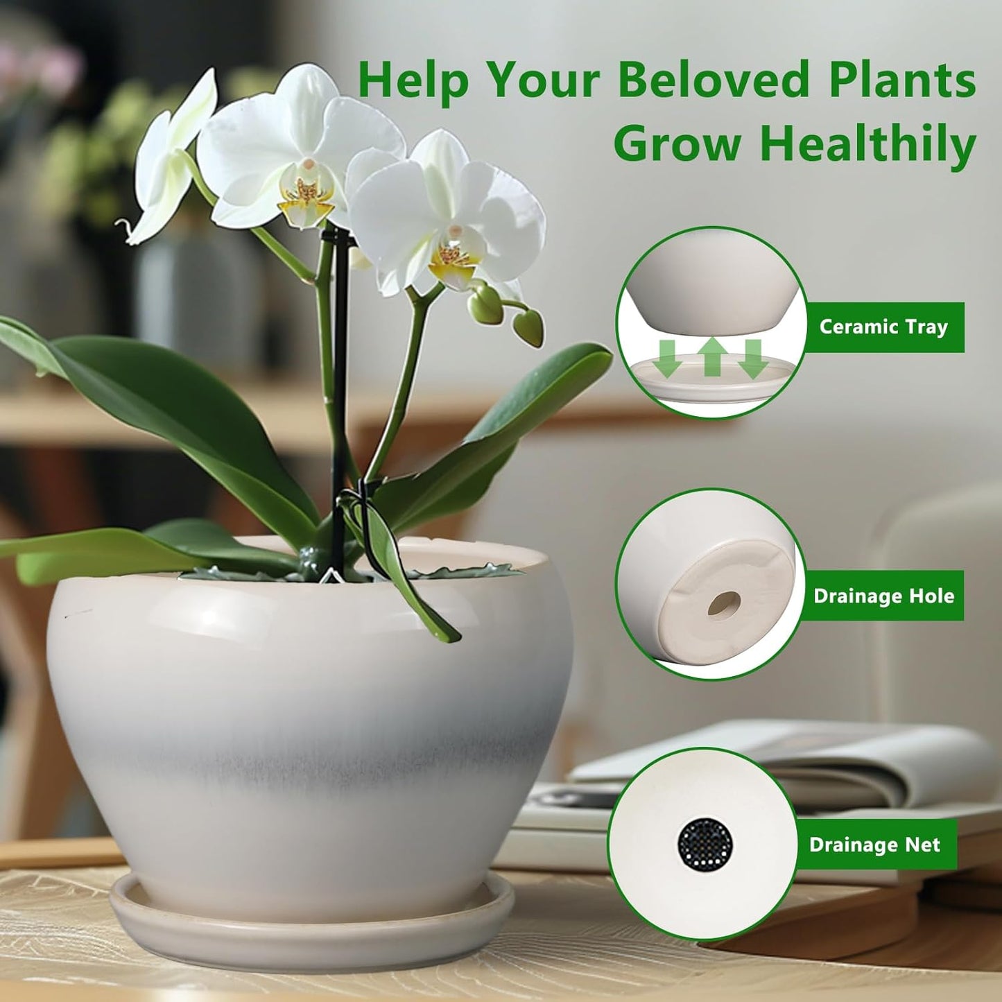 Planter Pot 6 Inch - Ceramic Plant Pot with Drainage Hole and Saucer, Round Glaze Succulent Pot for Plants, White