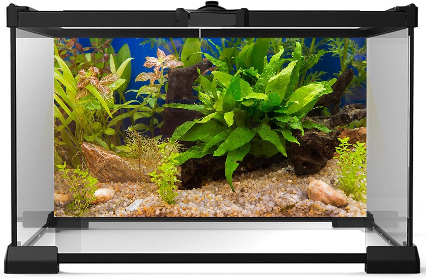 Aquarium Backdrop Underwater Grass Leaves Pebble Aquarium Background Vivid and Fresh Green Aquatic Plant Stone River Bed Fish Dead Wood Leaves Tank Background Decors Vinyl 36x20in