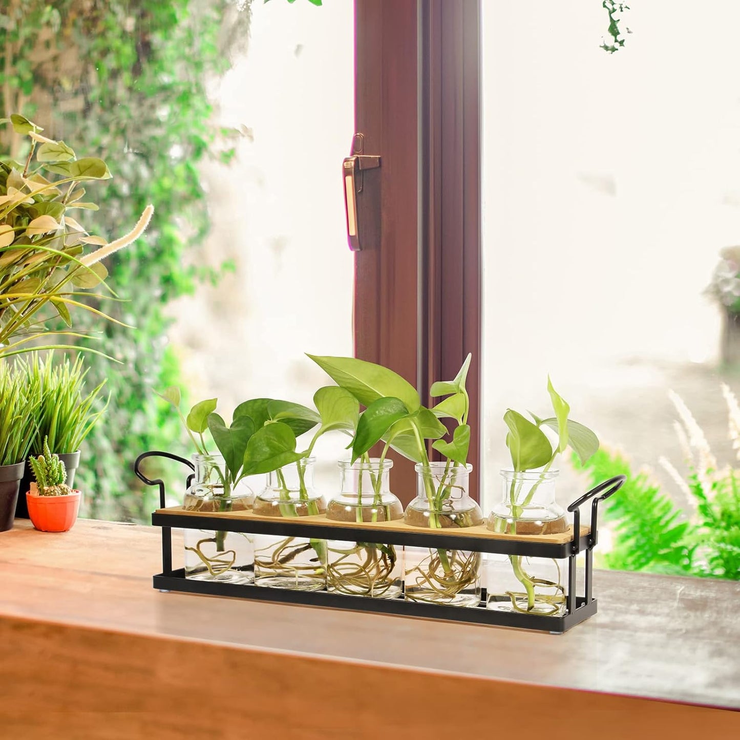 THYGIFTREE Plant Propagation Stations with Metal Stand, Tabletop Plant Terrarium for Propagating Hydroponic, Retro Glass Planter Flower Vase Home Kitchen Office Decor, Plant Lover Gifts, 5 Jars