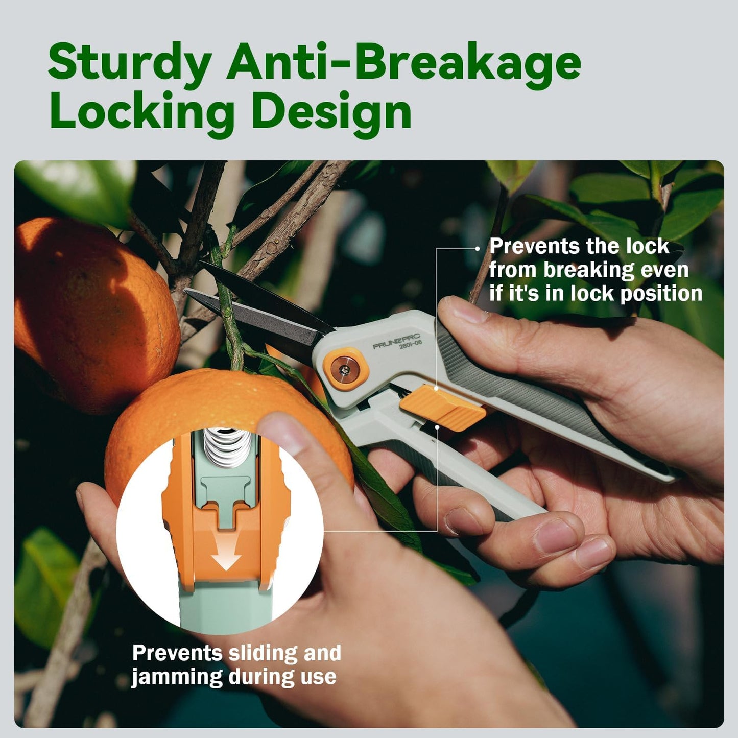 PrunePro Garden Scissors Pruning Shears Sharp Stainless Steel Non-Stick Teflon Coating Blade for Precise Cuts Garden Snip Bonsai Clippers for Plants Rose Flower Green & Orange