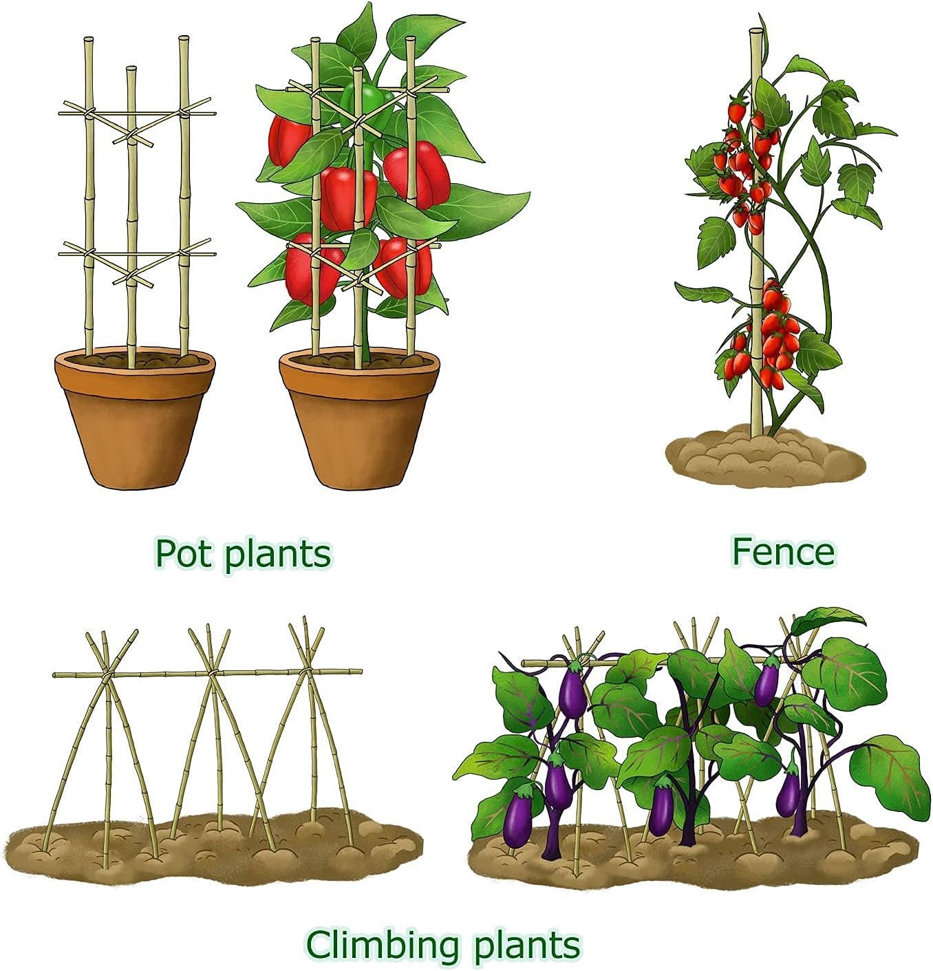 6ft Bamboo Garden Stakes Eco-Friendly Plant Stakes 6 Feet, Bamboo Poles for Tomatoes Beans Climbing Plants Support - Pack of 20 Bamboo Stakes Natural
