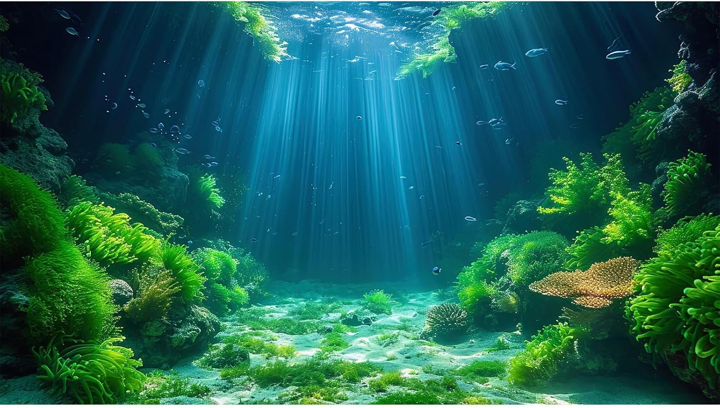 Aquarium Background Aquatic Plants Soft Algae Terrarium Backdrop Underwater World Fish Rock with Moss Sunlight Rays Fish Tank Background Aquarium Wallpaper Poster Decor Vinyl 48x20in