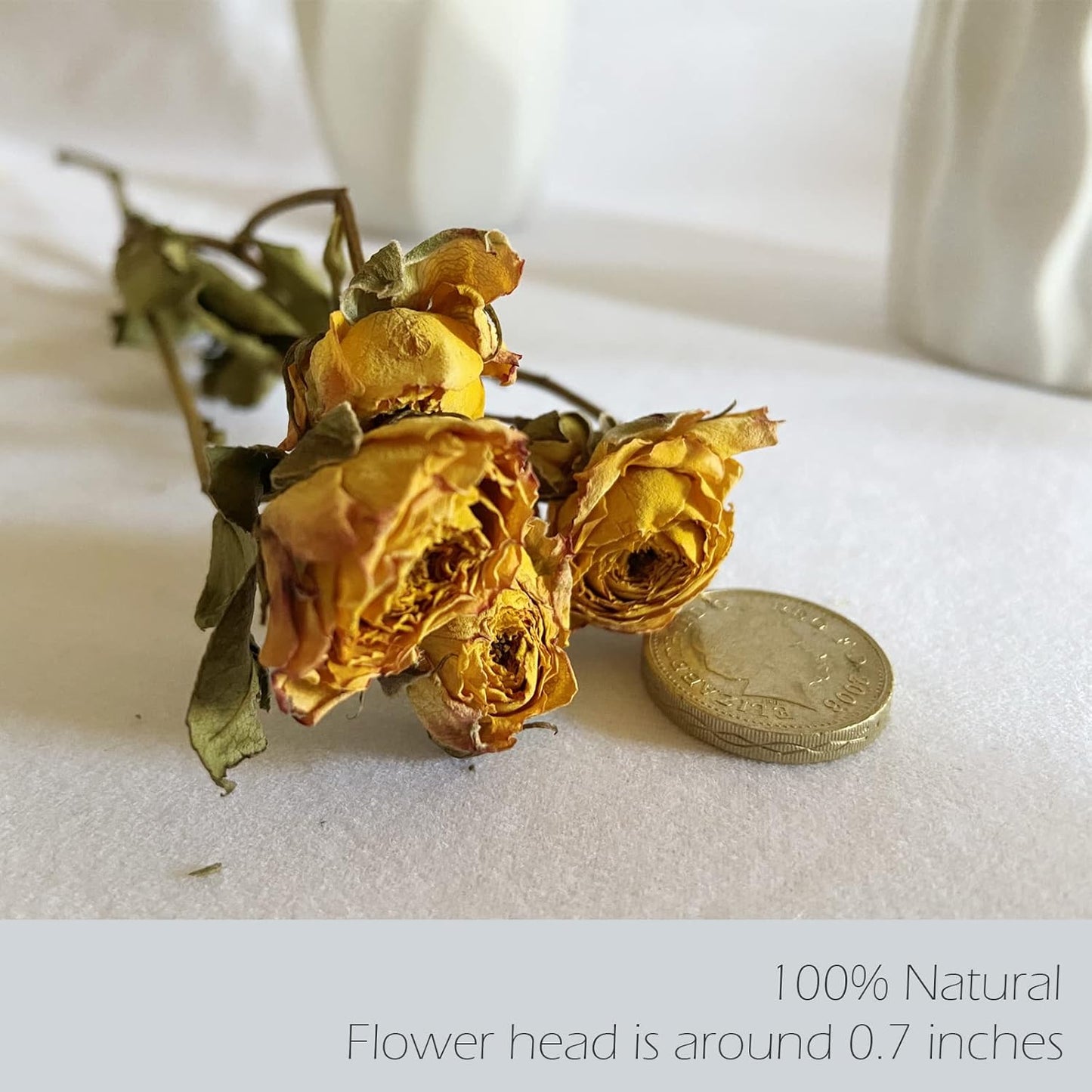 L'BREVOGA Dried Flower Spray Rose Bouquets, 2 Bunches 100% Natural Flowers, Miniature Roses with Baby’s Breath for Decoration Home Party (Spray Rose)