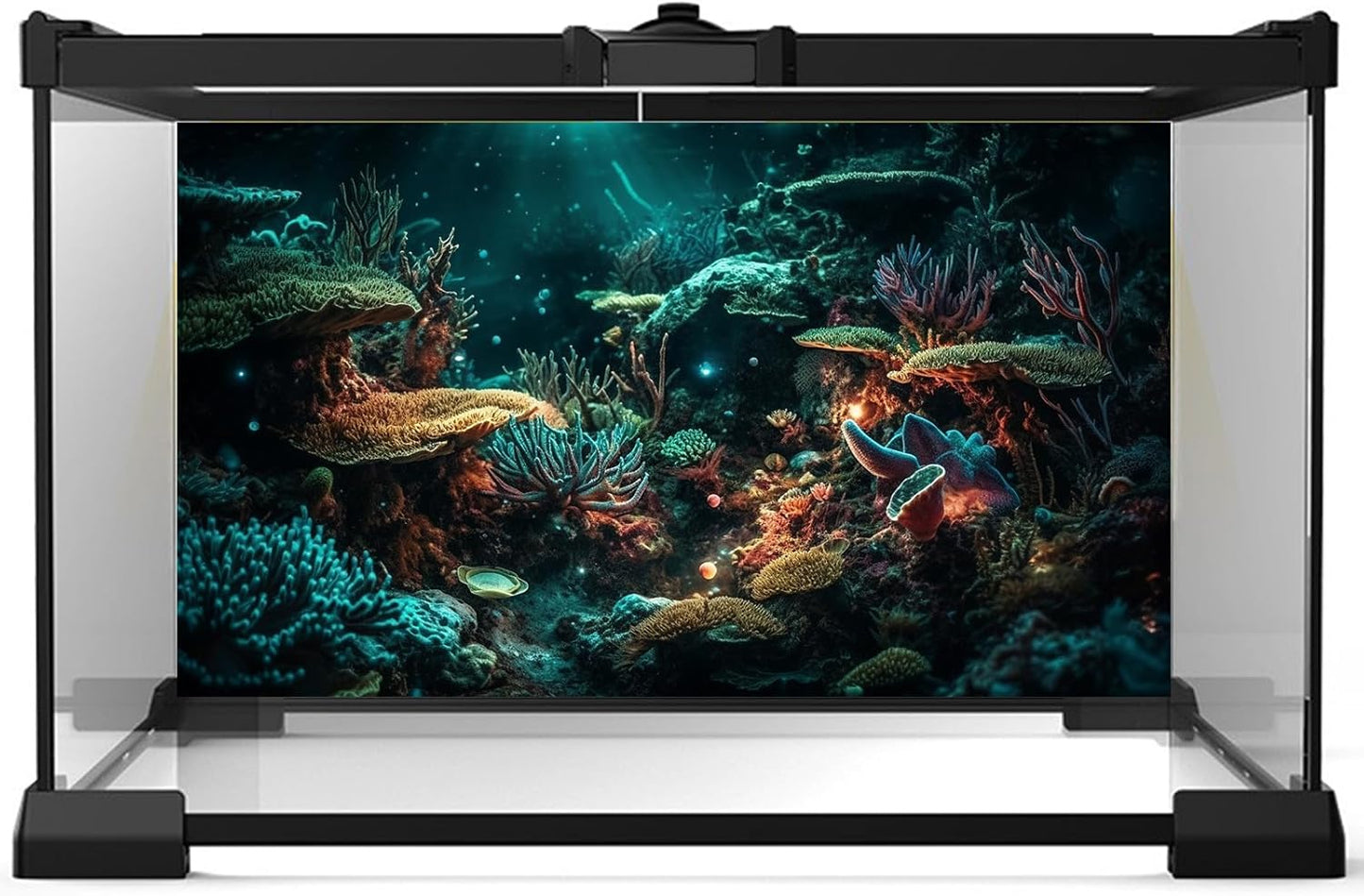 Aquarium Background Colorful Picturesque Coral Reef Terrarium Background Tropical Sea Various Hard Corals Underwater Landscape Fish Tank Backdrop Aquarium Poster Background Vinyl 72x16in