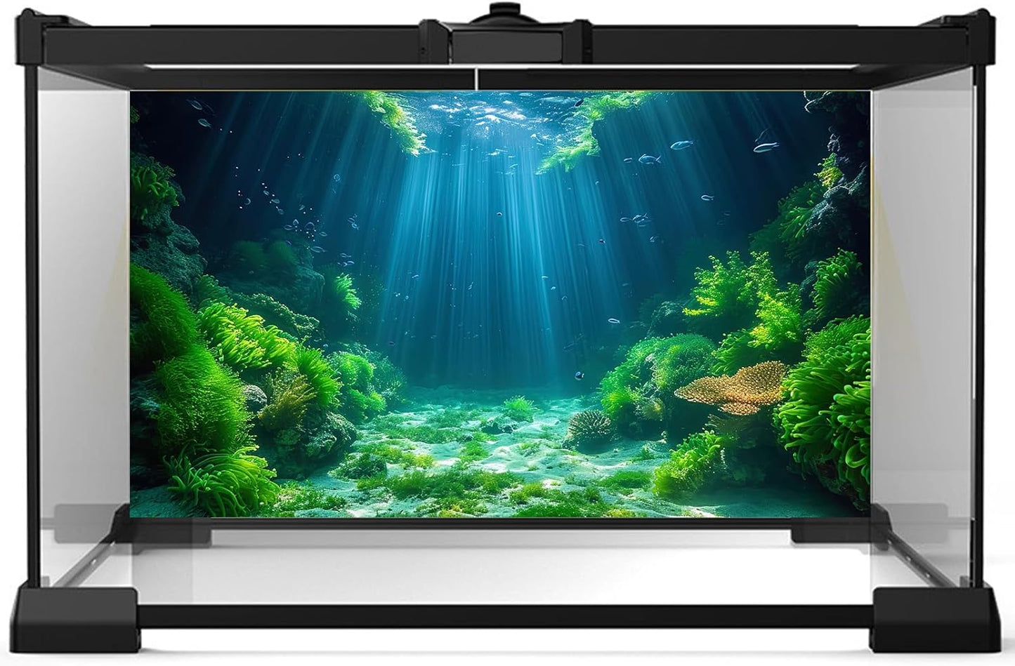 Aquarium Background Aquatic Plants Soft Algae Terrarium Backdrop Underwater World Fish Rock with Moss Sunlight Rays Fish Tank Background Aquarium Wallpaper Poster Decor Vinyl 48x18in