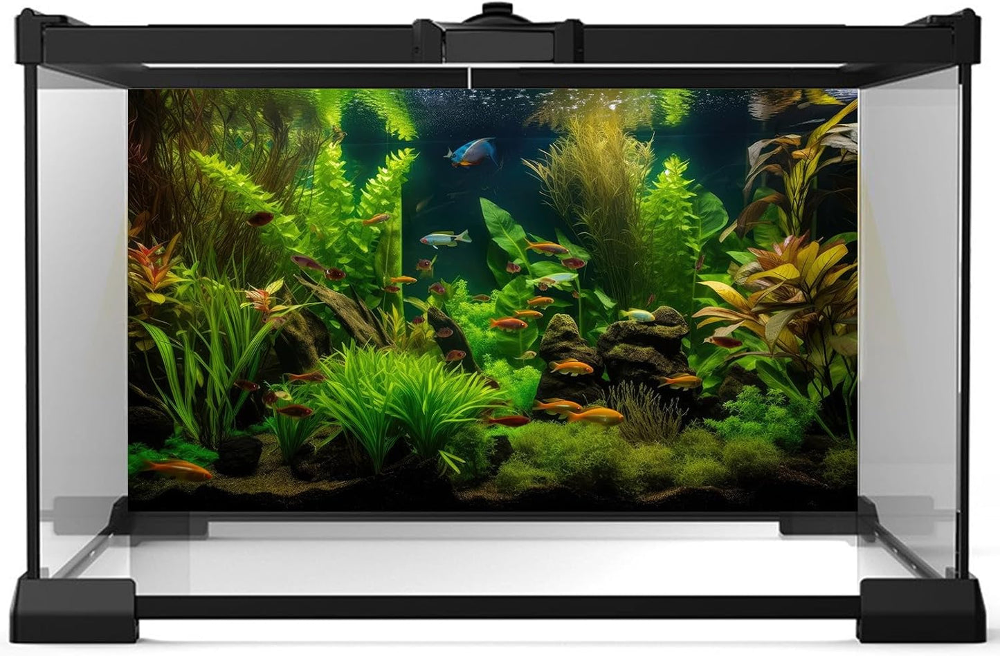 Aquarium Background Tropical Freshwater Colorful Fish Plants Fish Tank Background Tranquil Under The Sea Aquatic Plants Cork Redwood Root Lush Green Moss Reptile Tank Terrarium Background 48x18in