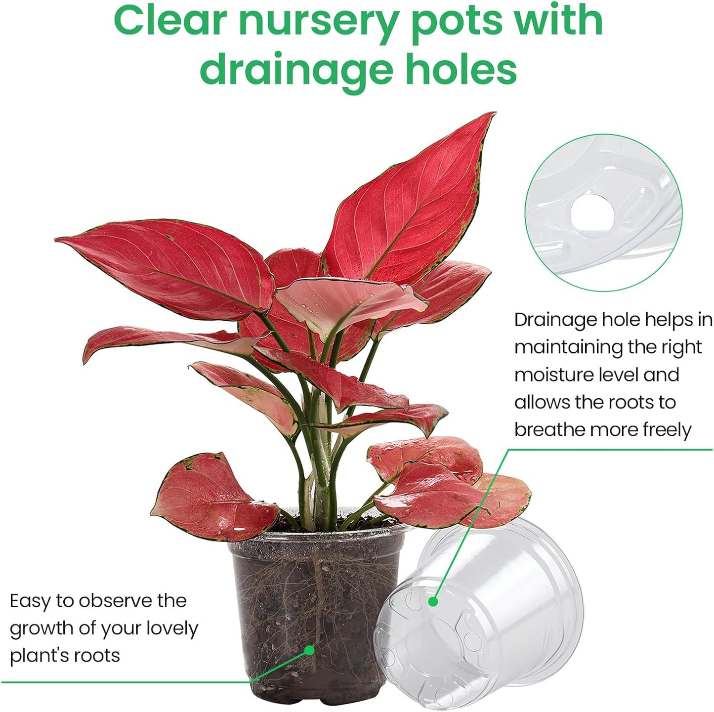 36 Packs 6.7/5/4/3.5 Inch Reinforced Clear Nursery Pots with Drainage Hole, Transparent Variety Pack Plastic Plant Pot Seedling Planter Seed Starter Flower