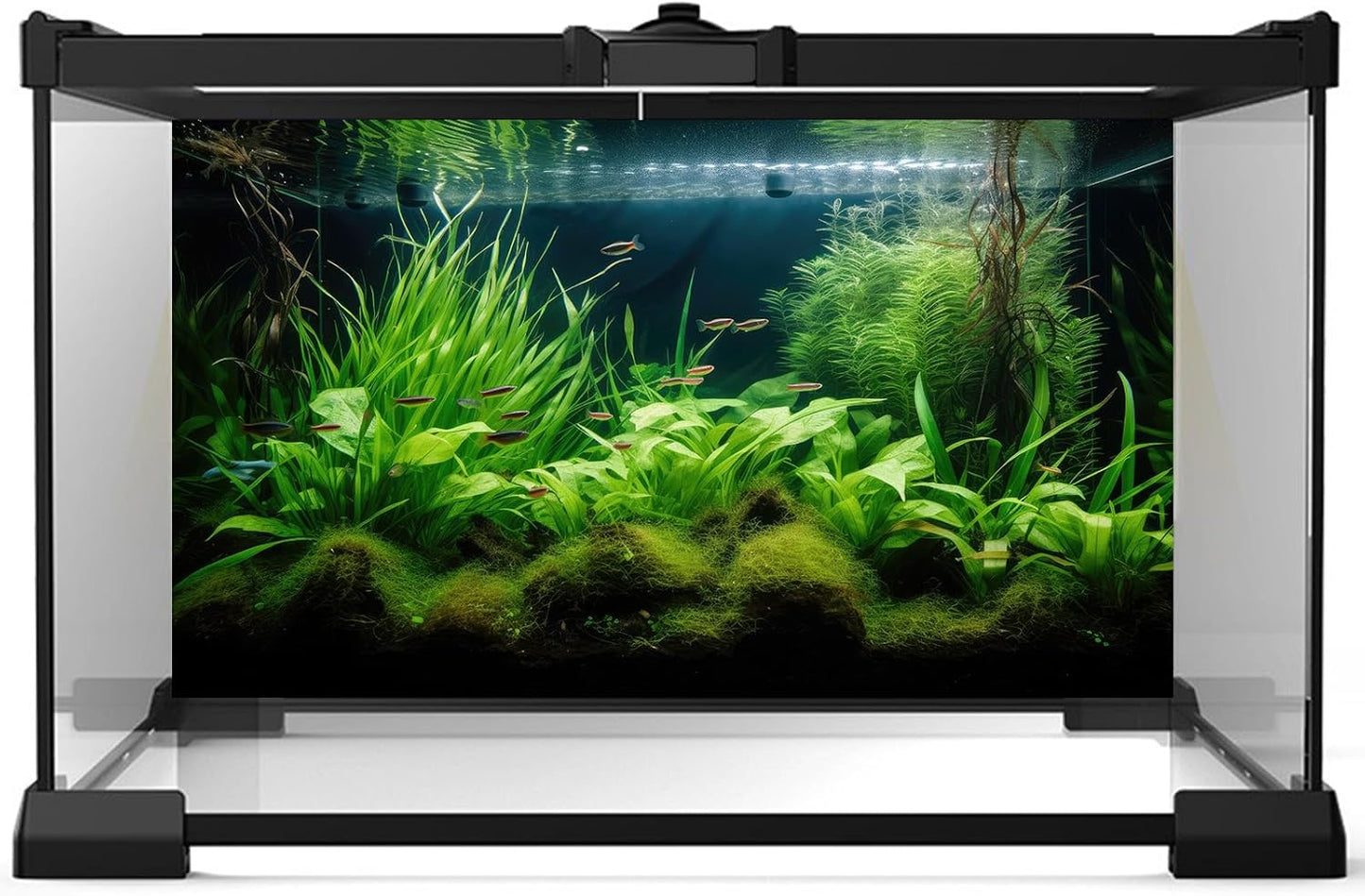 Aquarium Background Diverse Aquatic Plants Seagrasses Terrarium Background Redwood Root Lush Green Underwater Plants Tropical Style Fish Tank Background Under The Sea Aquarium Backdrop Vinyl 36x24in