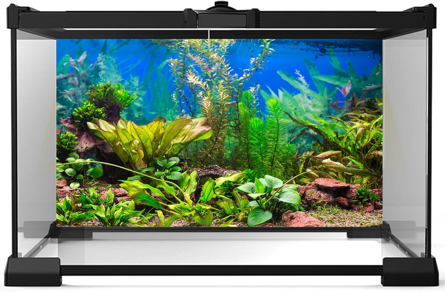 Aquarium Background Various Underwater Grass Plants Aquarium Backdrop Vivid and Fresh Green Aquatic Plants Stone River Bed and Dead Wood Purple Stone Fish Tank Background 24x16in