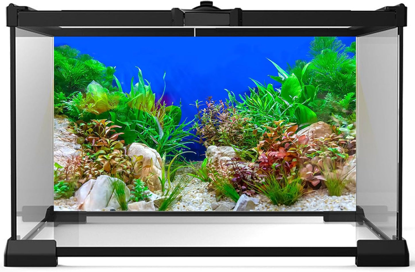 Aquarium Background Green Aquatic Plant Stone River Bed and Lake Fish Tank Background Decor Underwater Grass Leaves with Pebble Aquarium Backdrop Perfect Fish Tank Decors Vinyl 24x12in