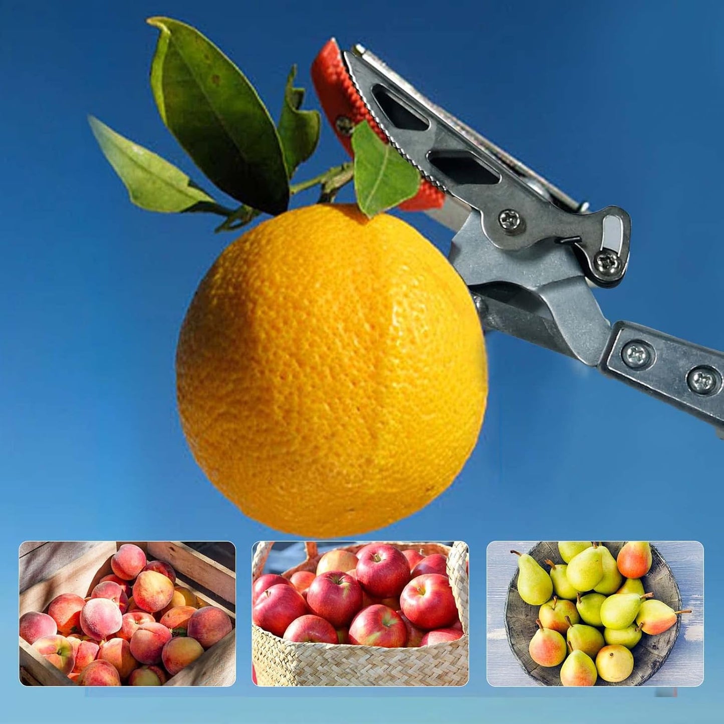 GARTOL Pruner for Garden, Cut Upto 1 Inch & Hold Telescopic Pole Pruner, Fruit Picker with Rotating Blade Head, Lightweight Aluminum Extendable Handle for Tree Branch Cutter, 6.23-10.5 FT, Silver