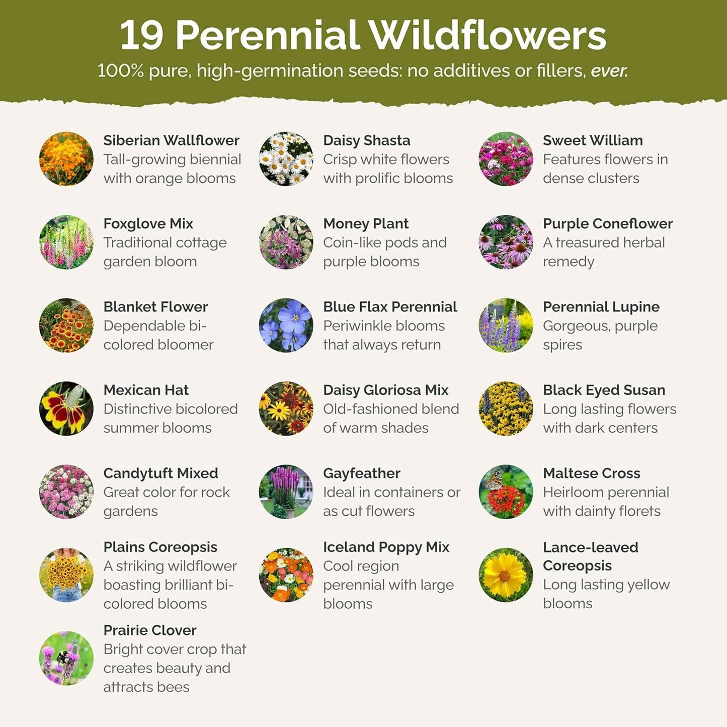 Eden Brothers All Perennial Wildflower Mixed Seeds for Planting, 5 lb, 2,400,000+ Seeds with Lupine, Shasta Daisy| Attracts Pollinators, Plant in Spring or Fall, Zones 3, 4, 5, 6, 7, 8, 9, 10