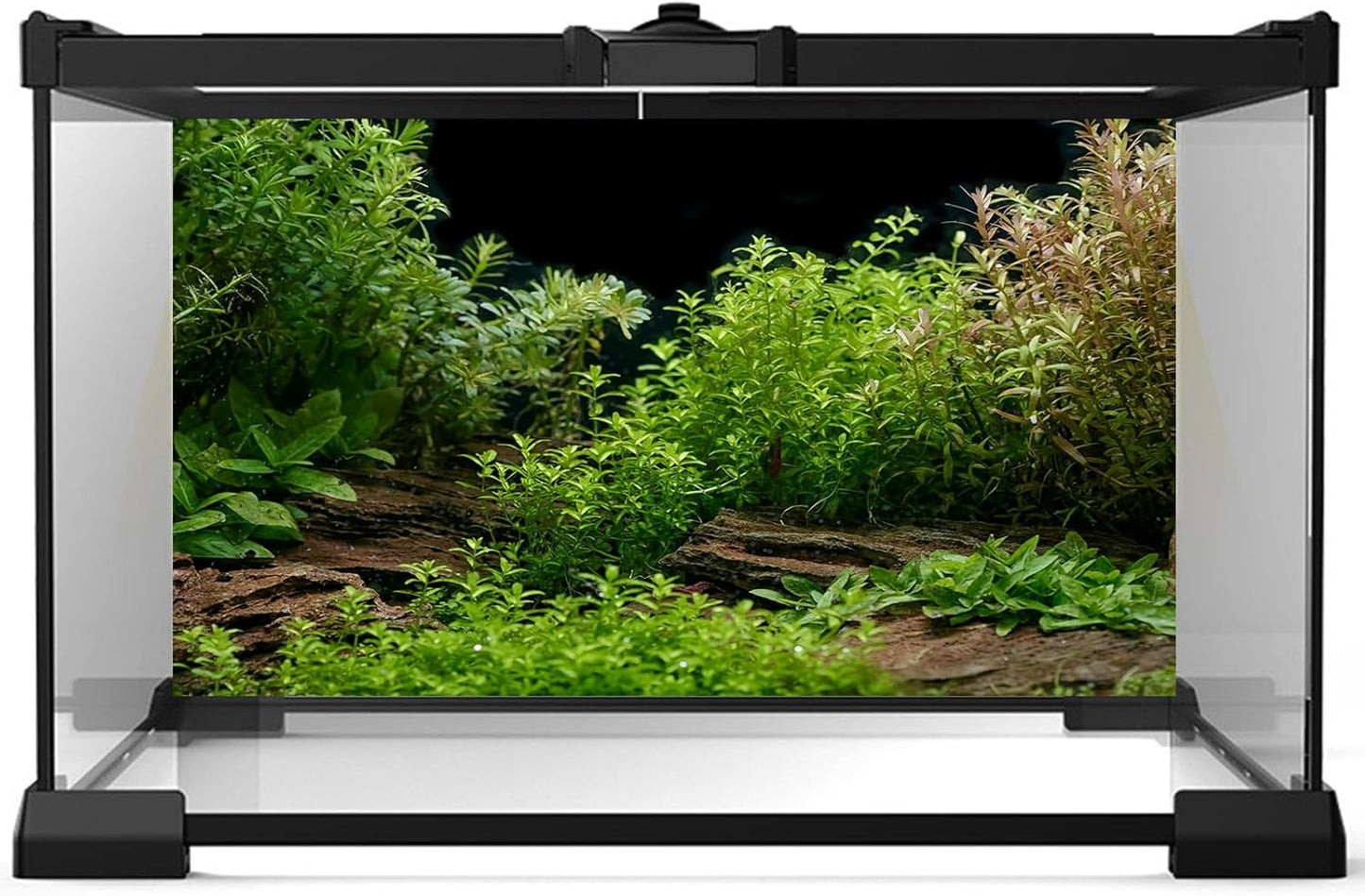 Aquarium Background Underwater Green Grass Leaves Stone Aquarium Backdrop Vivid and Fresh Green Aquatic Plant Stone River Bed and Lake Fish Tank Background Decor Vinyl 24x16in