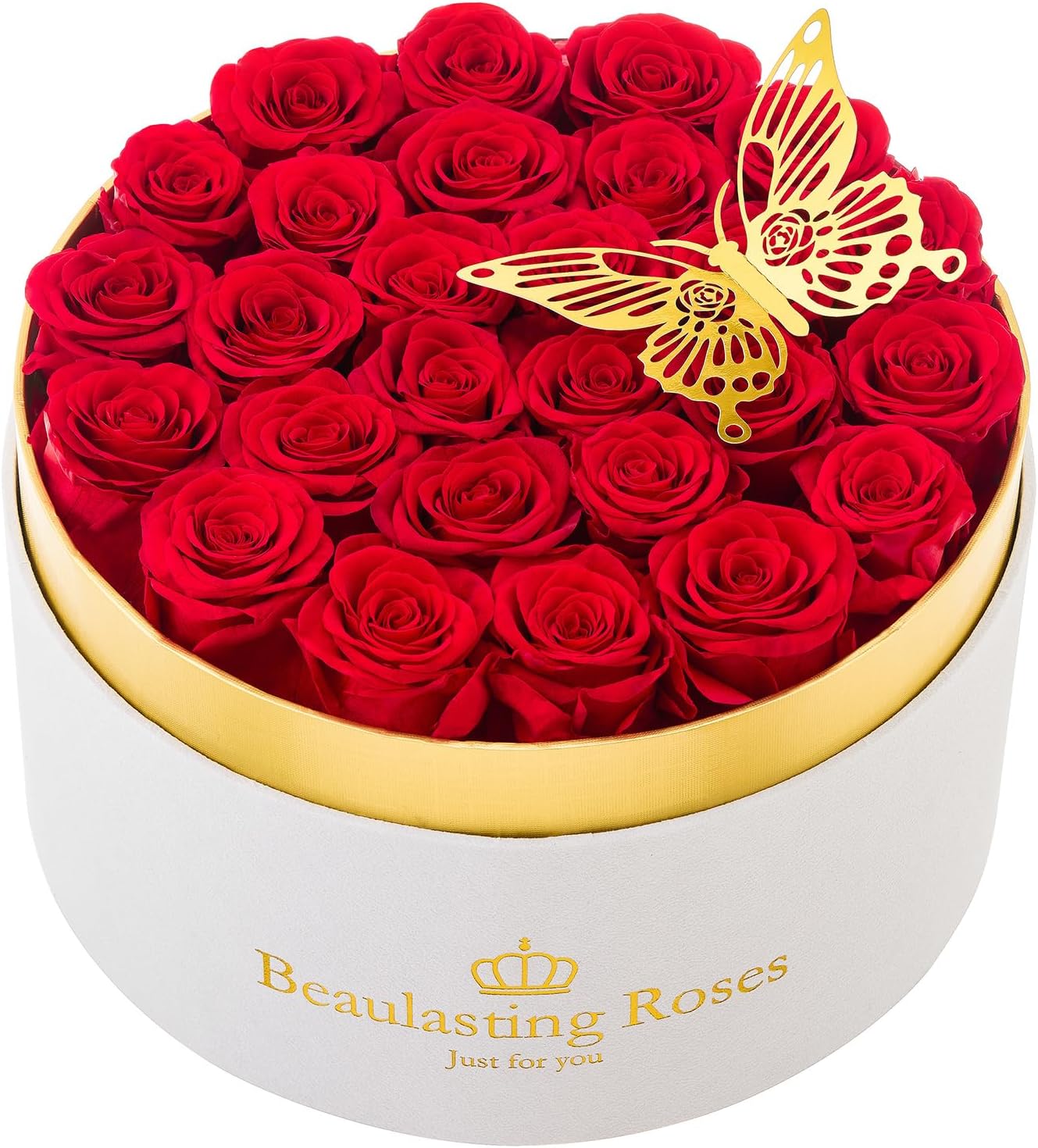 Preserved Roses Forever Flowers Real Roses in a Box Mother's Day Birthday Flowers for Her Mom Women Wife Valentine's Day, Red, 27 Piece