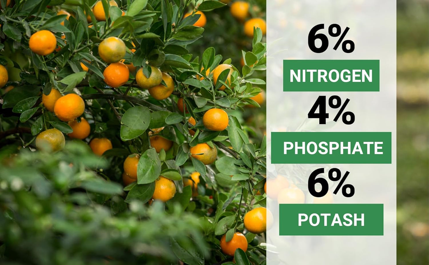 6-4-6 Avocado and Citrus Tree Professional Fertilizer Plant Food for Outdoor/Indoor Gardening; Quick-Release Nitrogen Fertilizer; Orange, Lime, Avocado and Lemon Tree Fertilizer (4 QUARTS)