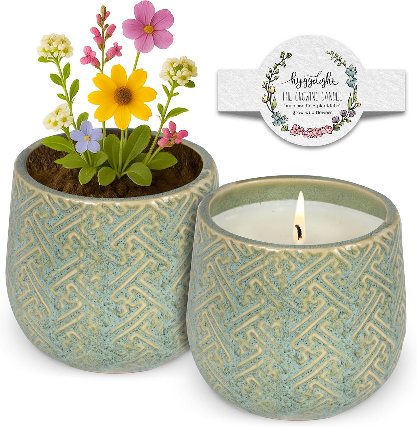 The Growing Candle, Sandalwood & Vanilla Scented, 10oz Ceramic Pot, Aromatherapy Candles for Home, 100% Soy, Ida