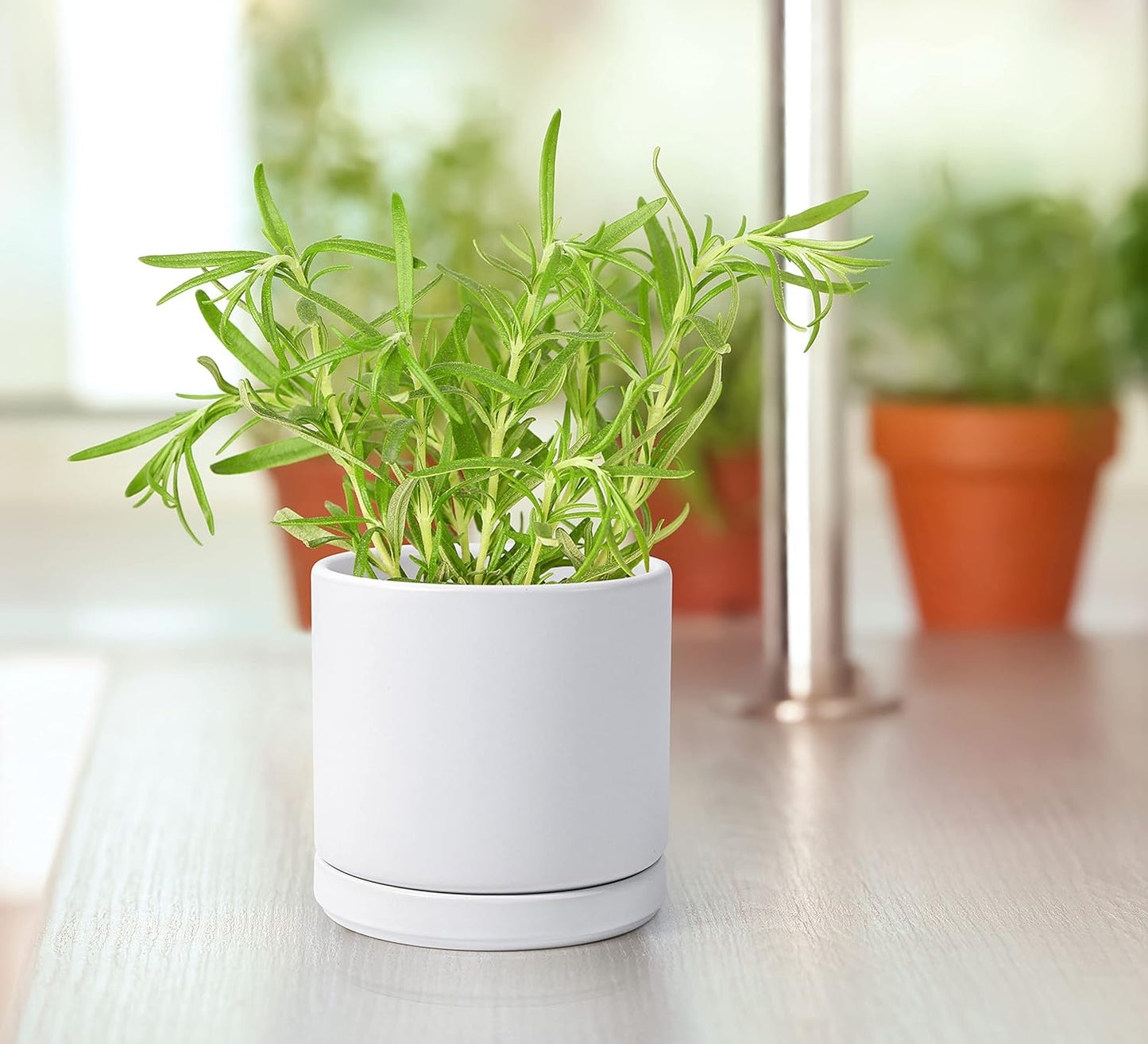 D'vine Dev Set of 2 Plants Pot, 4.6 Inch Ceramic Planter Pot for Plants with Drainage Hole and Saucer, White, 94-V-B-1