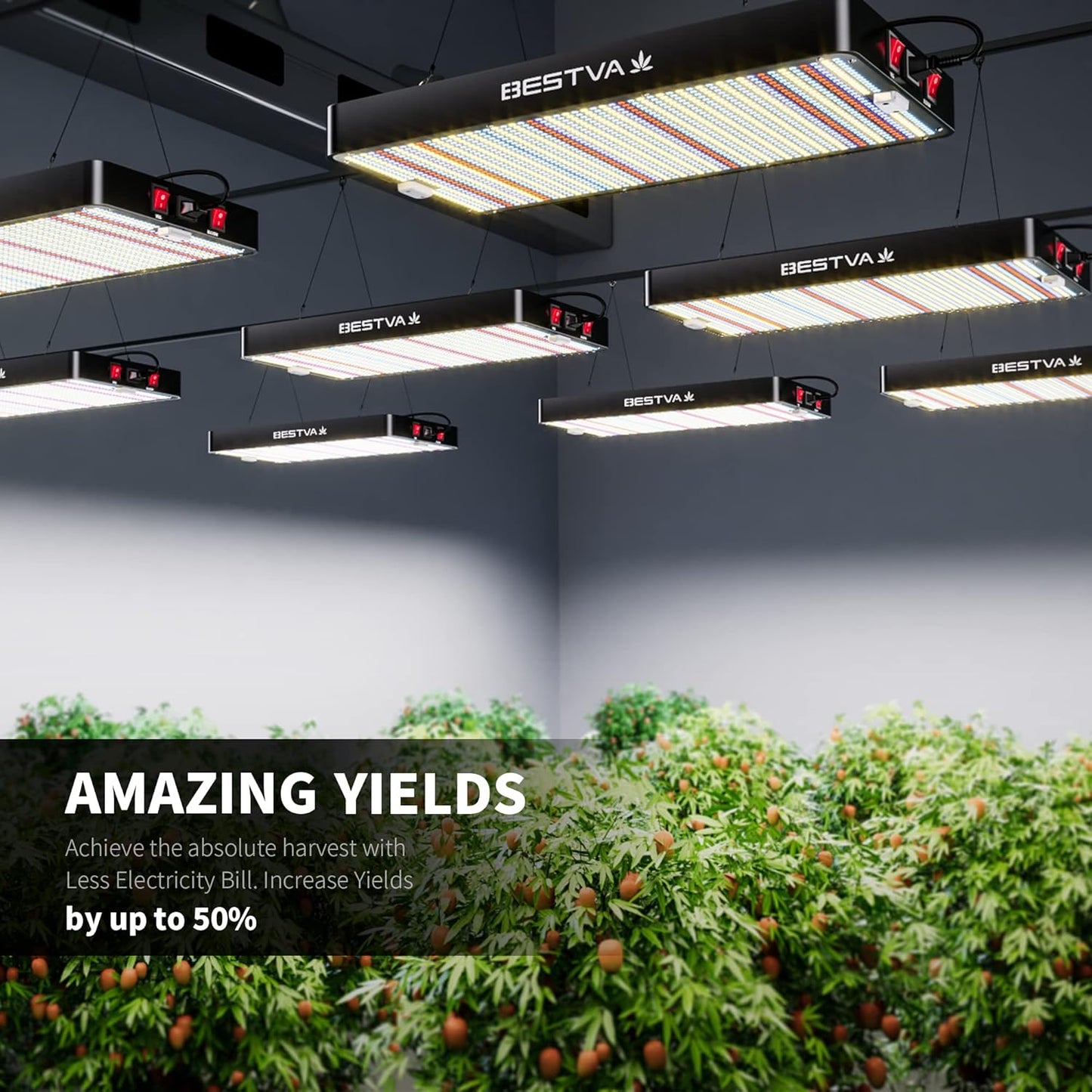 BESTVA 2025 Upgrade DC1000 Led Grow Light with High Yield Diodes Full Spectrum LED Grow Lights for Indoor Plants Greenhouse Veg Bloom Light Hydroponic Grow Lamp