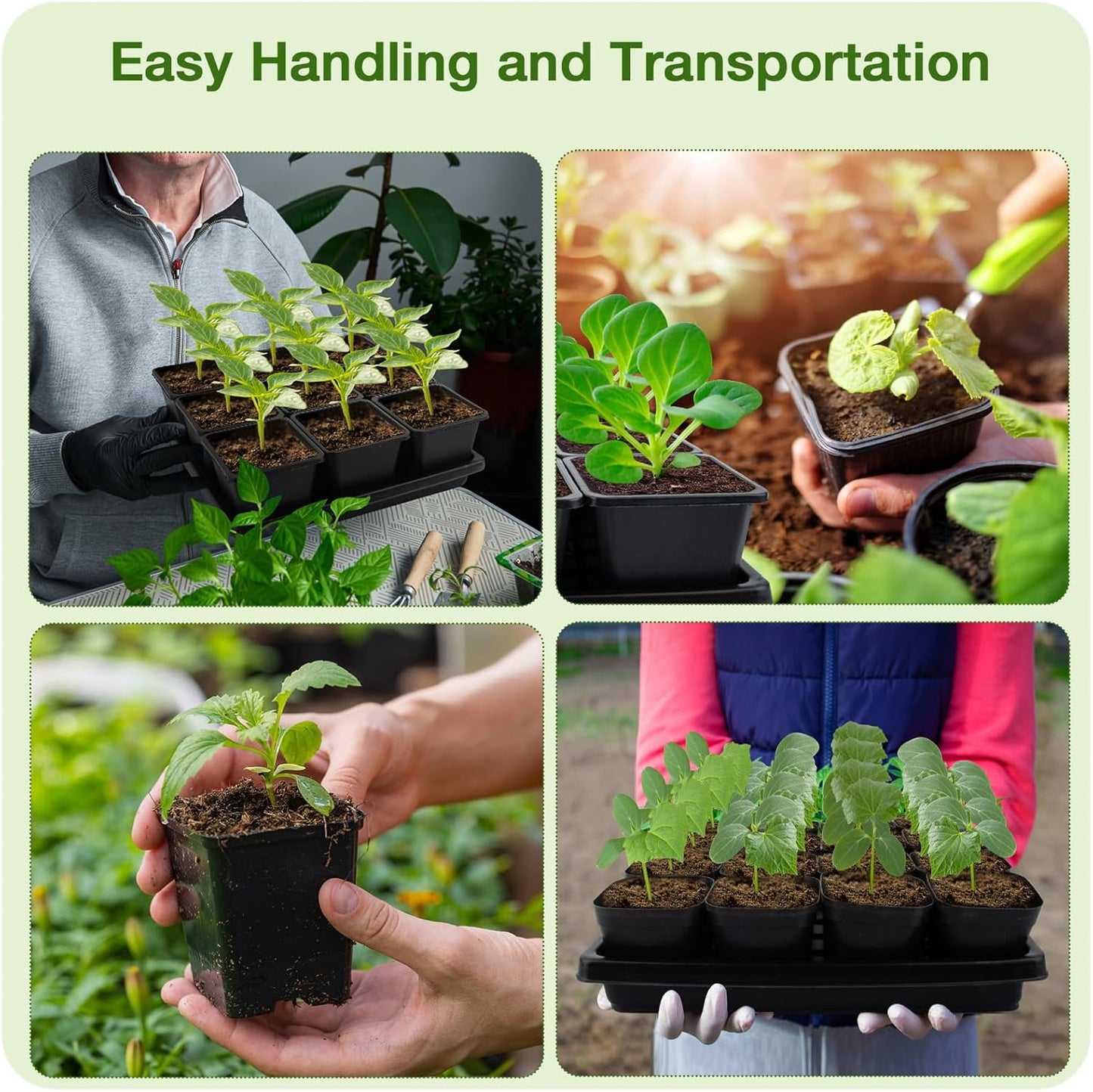 50Pcs 3.5inch Square Nursery Pots with 5Pcs Seed Starting Trays, Seed Starter Tray Kit, Seeds Starting Germination, Seeding Pots with Drain Holes, Small Plant Nursery Propagation