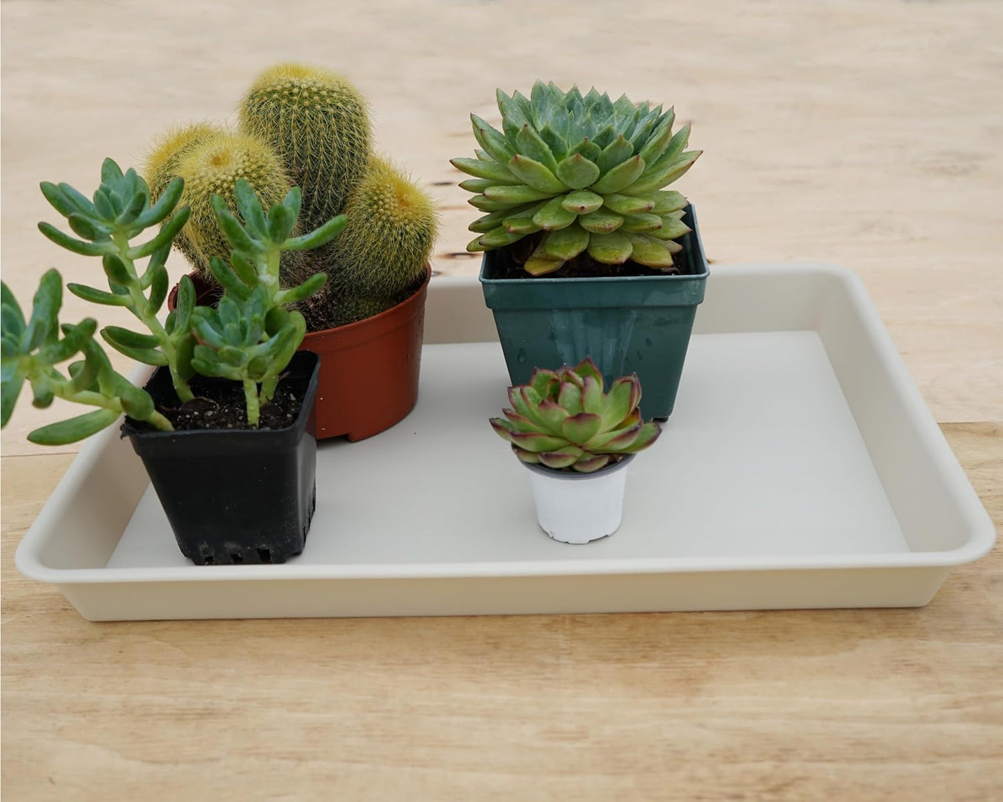 4 Pack Plant Saucer Tray Rectangular, Plant Saucers for Indoors, Heavy Sturdy Plastic Plant Drainage Trays, Plant Drip Trays for Pots, Seed Starter Growing Tray (11 x 9 inch, Beige)