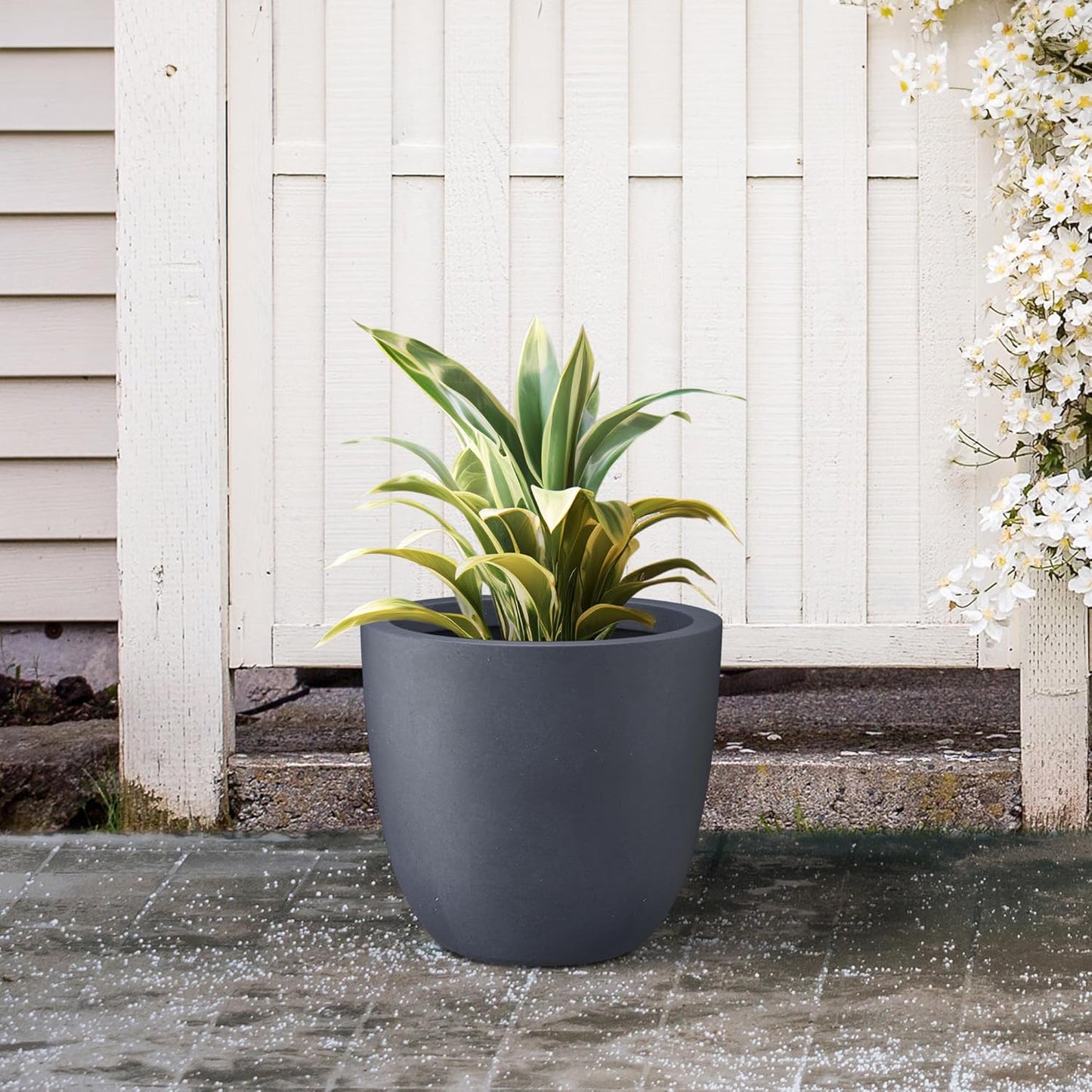 Kante 14 Inch Dia Round Concrete Planter, Indoor Outdoor Large Plant Pot with Drainage Hole and Rubber Plug for Home Patio Garden, Charcoal