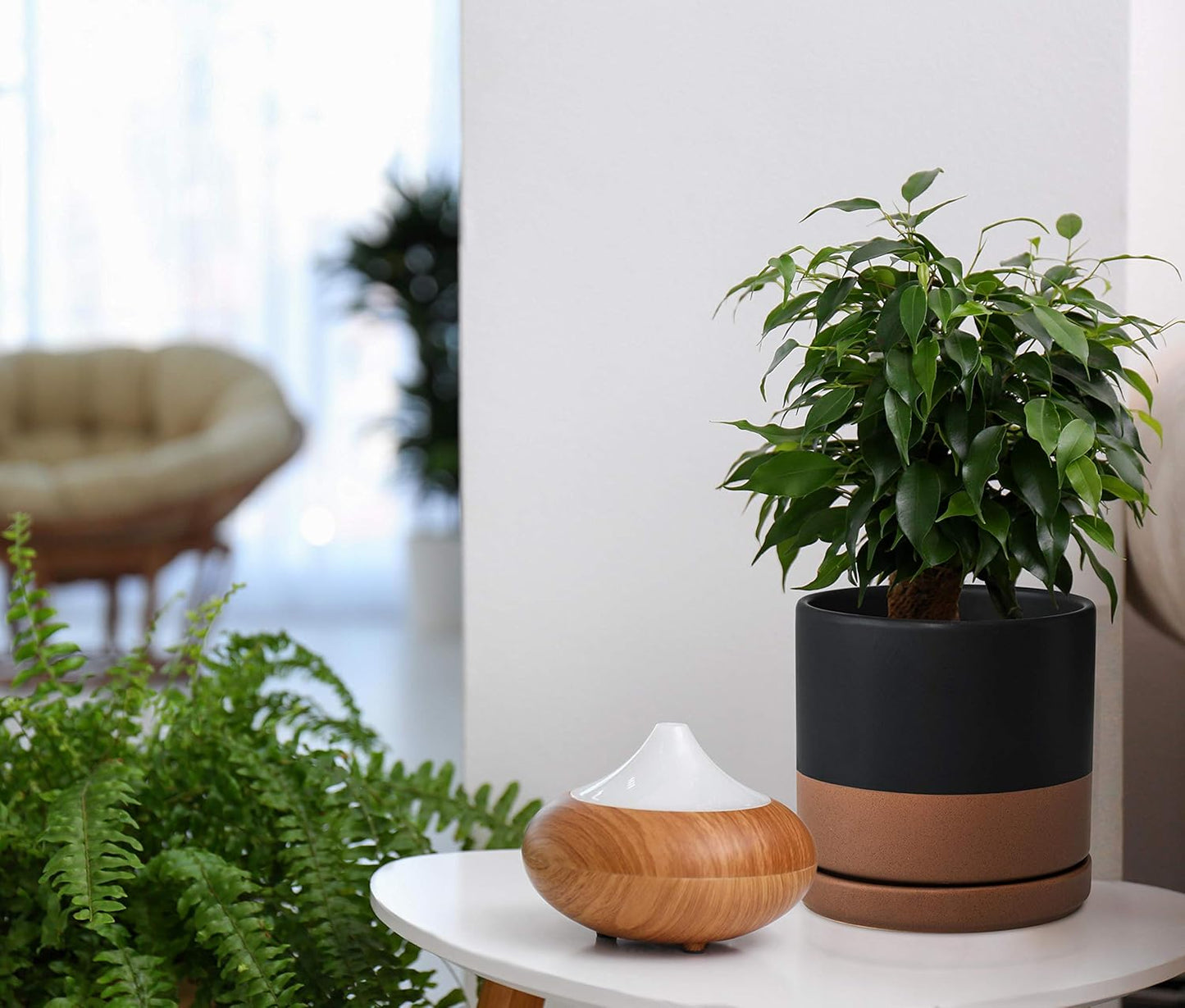 D'vine Dev Set of 2 Plants Pots, 6 Inch Ceramic Planter Pot for Plants with Drainage Hole and Saucer, Black/Speckled Tan, 94-V-C-7