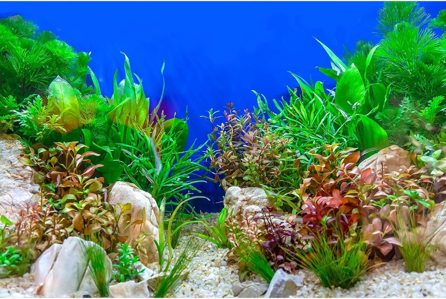 Aquarium Background Green Aquatic Plant Stone River Bed and Lake Fish Tank Background Decor Underwater Grass Leaves with Pebble Aquarium Backdrop Perfect Fish Tank Decors Vinyl 72x24in