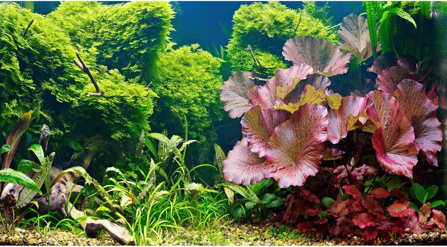 Fish Tank Background Underwater Grass Leaves Pebble Aquarium Background Vivid Fresh Green Aquatic Plant Terrarium Background Stone River Bed Dead Wood Purple Leaves Tank Background 48x24in