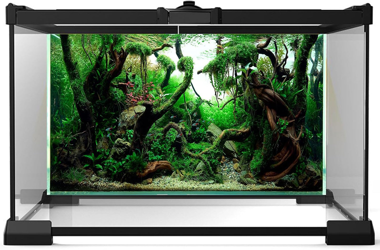 Aquarium Background Underwater Pebble Grass Leaves Aquarium Backdrop Vivid Fresh Green Aquatic Plant Stone River Bed Aquarium Backdrop Deadwood Purple Leaves Tank Background Vinyl 24x12in
